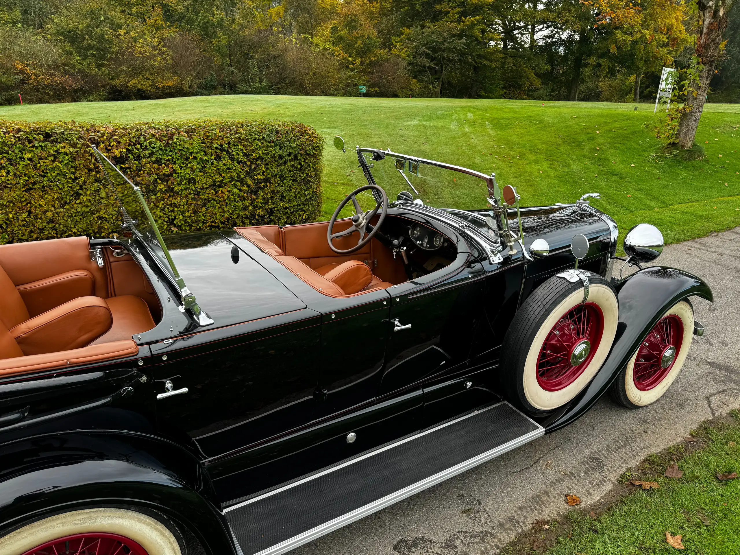 Austin-Healey - Others