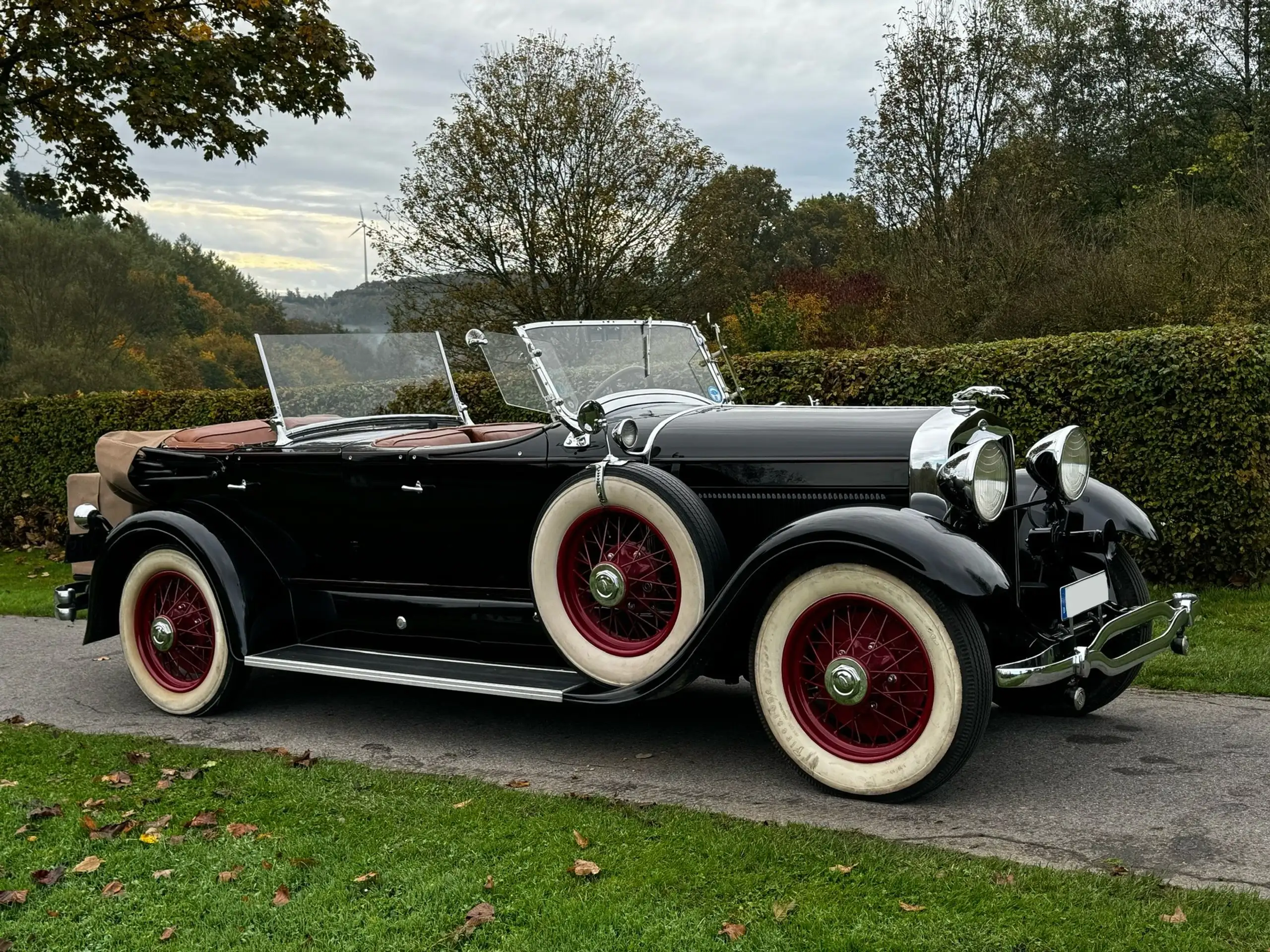 Austin-Healey Others 1929