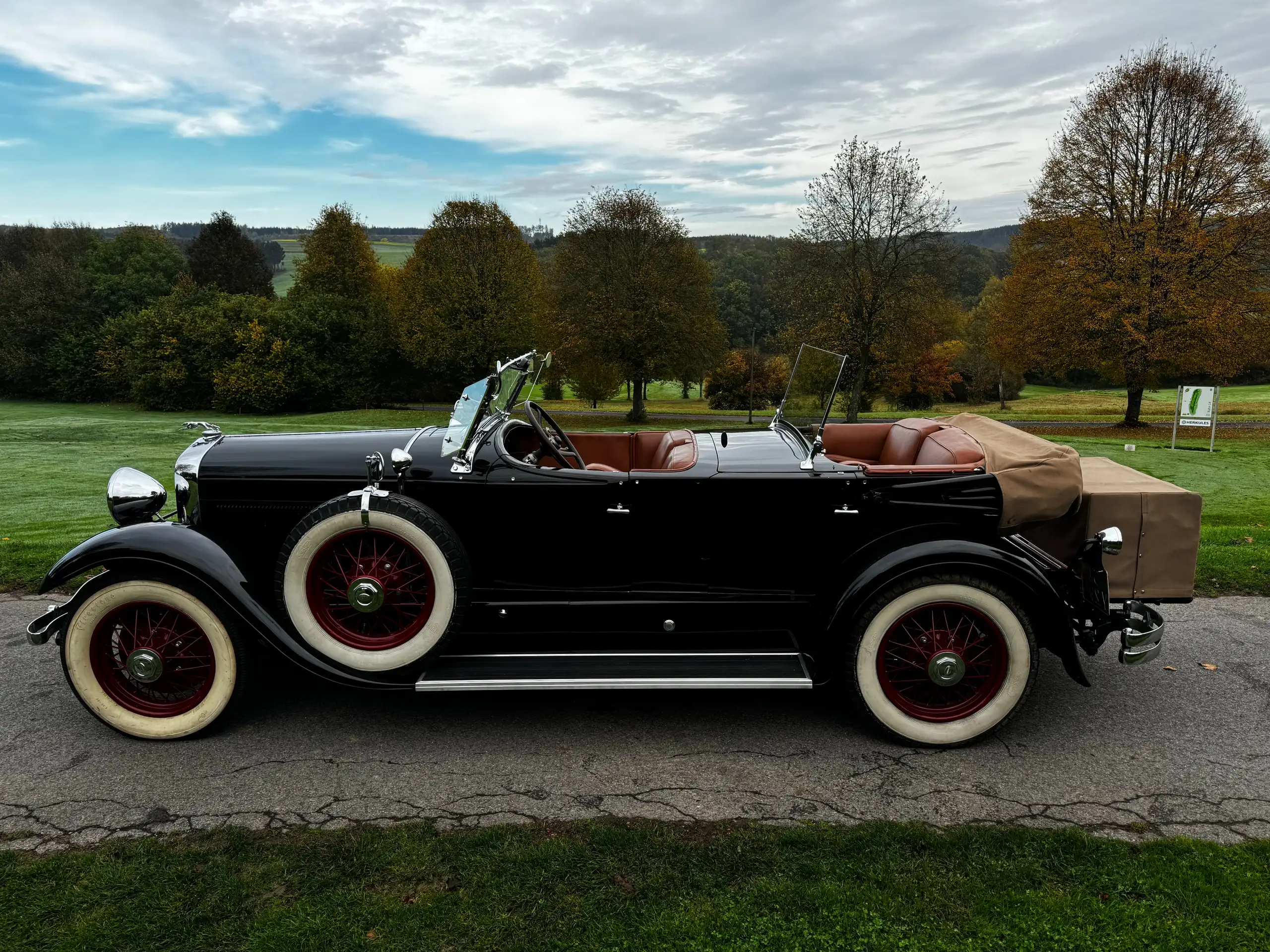 Austin-Healey - Others