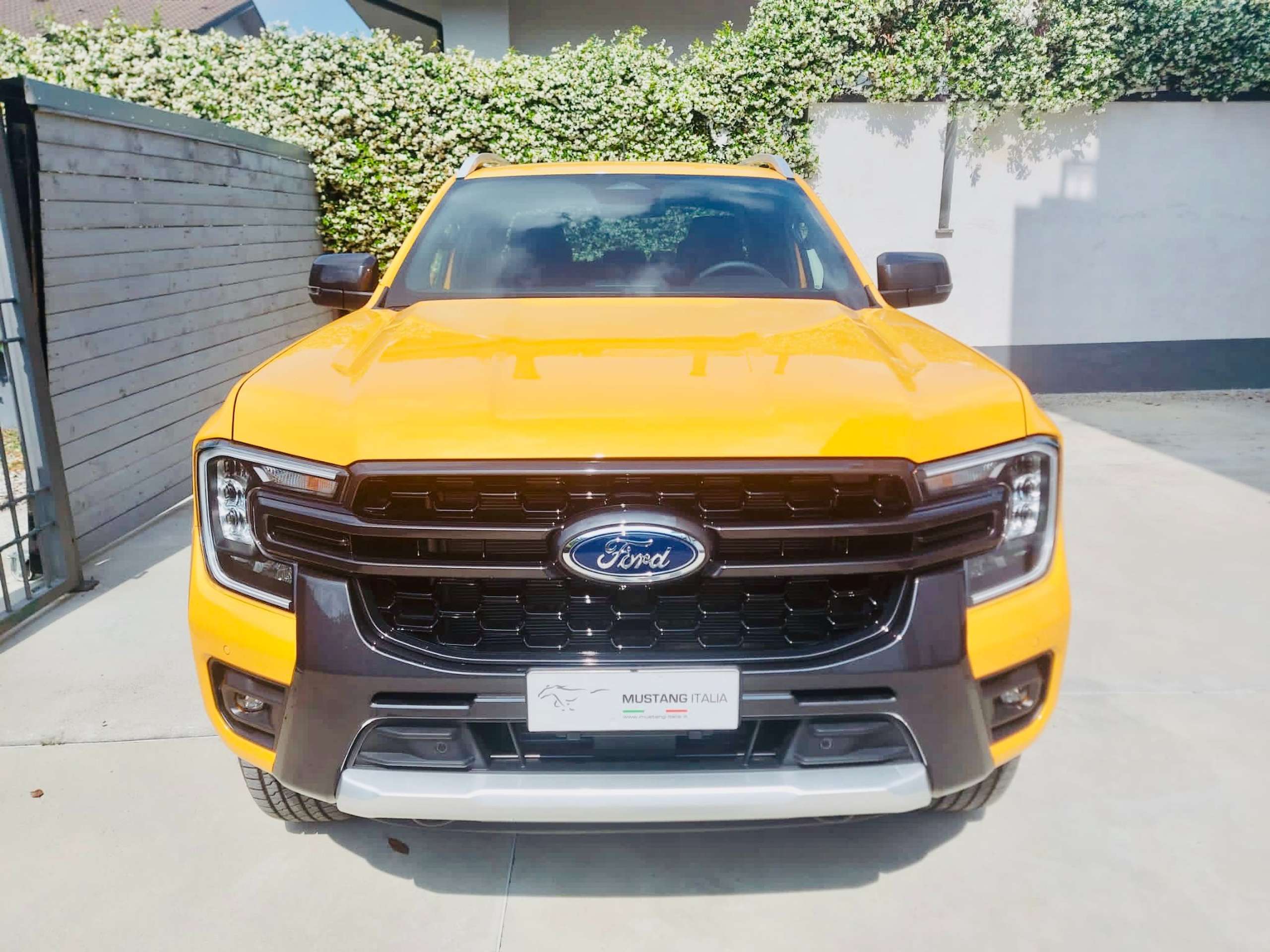 Ford - Ranger