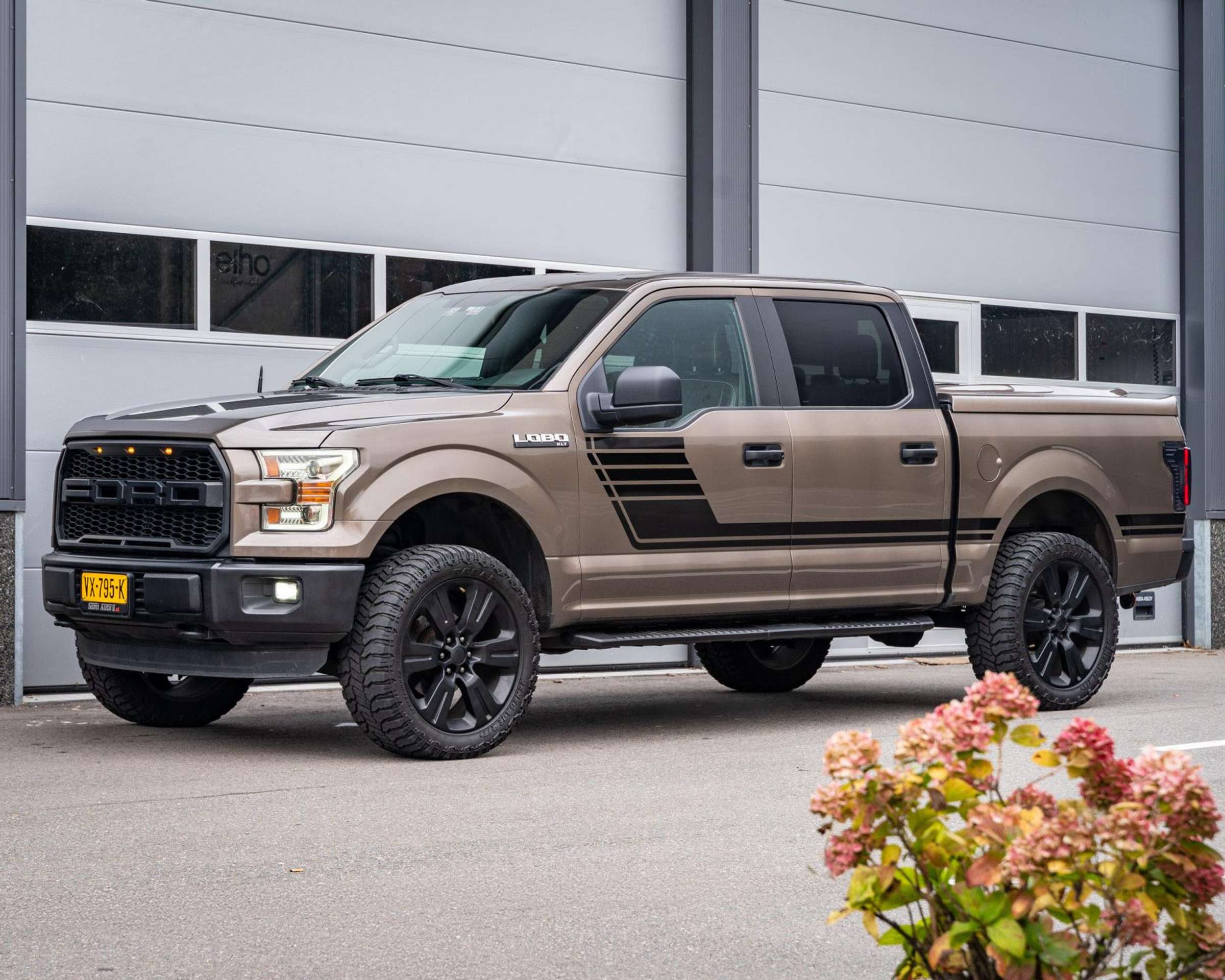 Ford - F 150