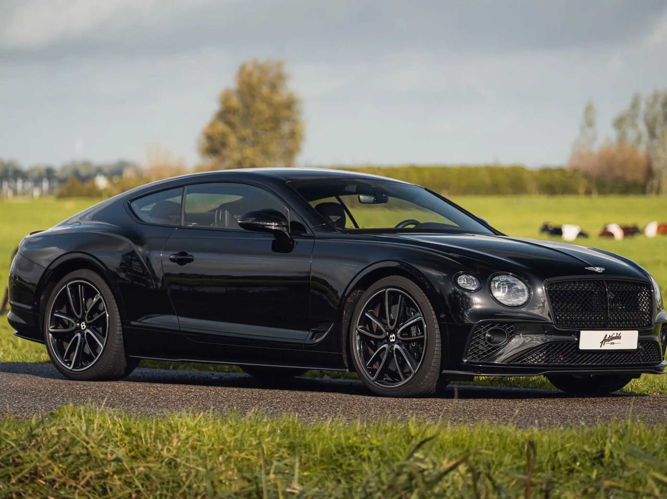 Bentley - Continental