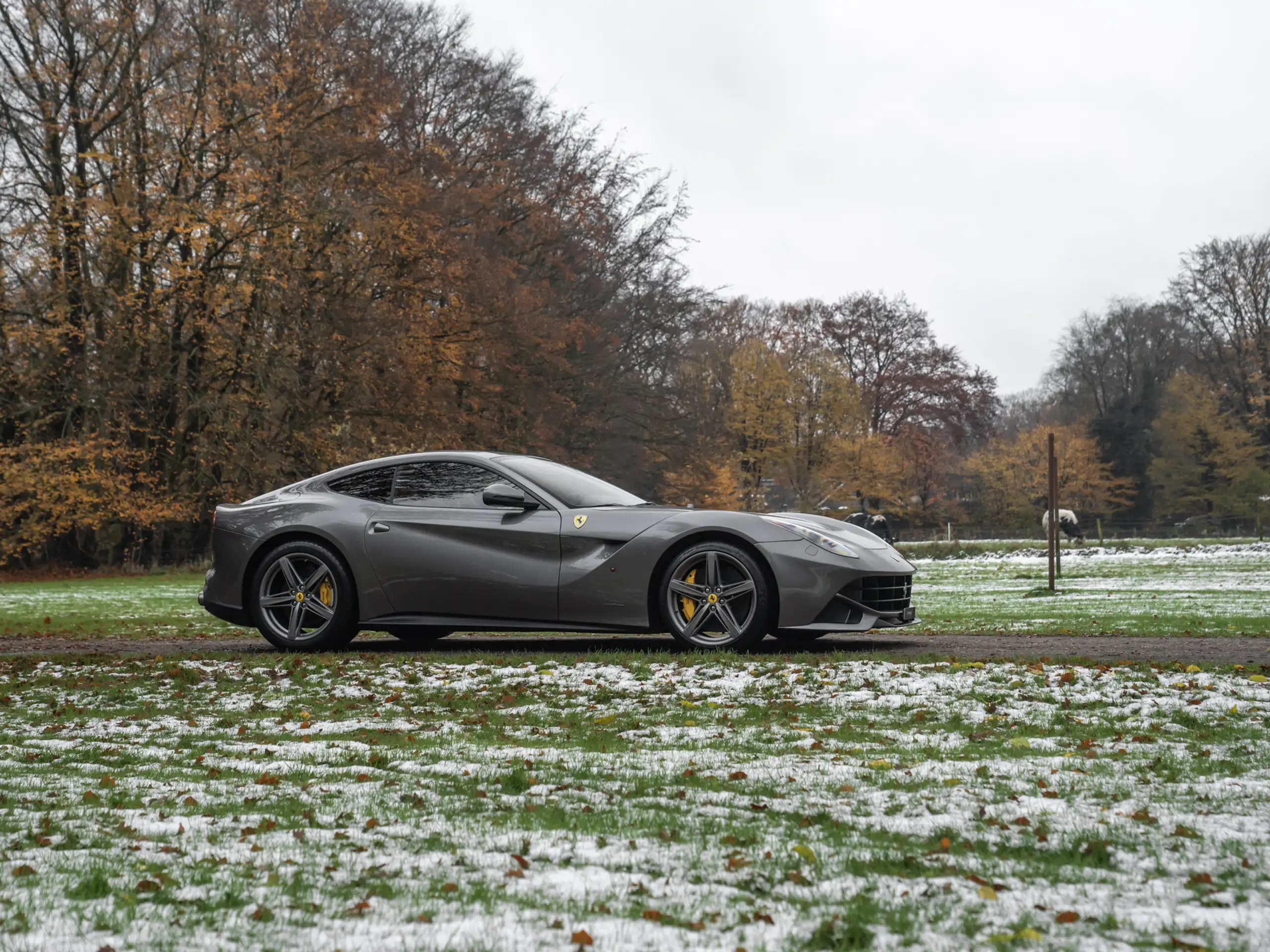 Ferrari - F12