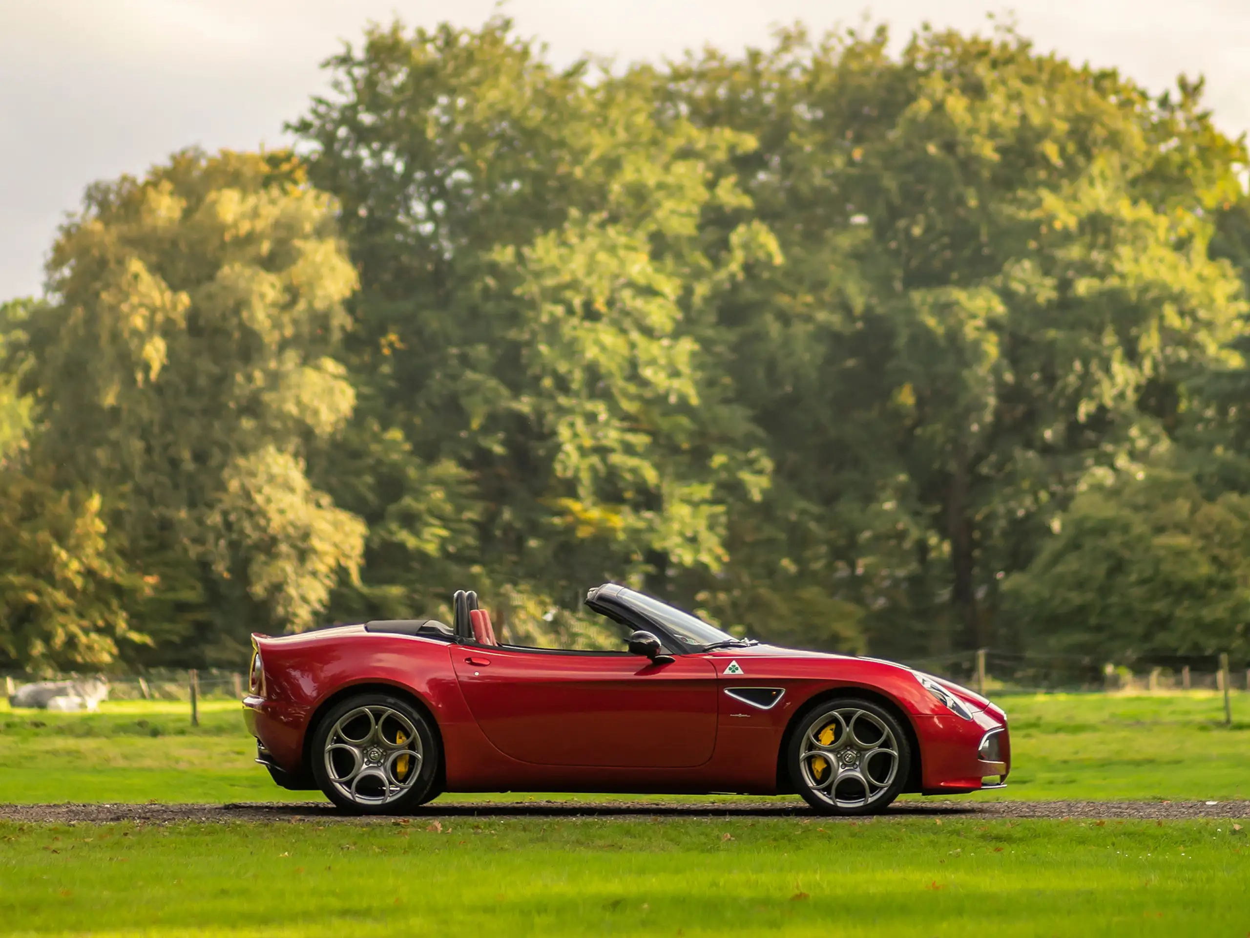 Alfa Romeo - 8C