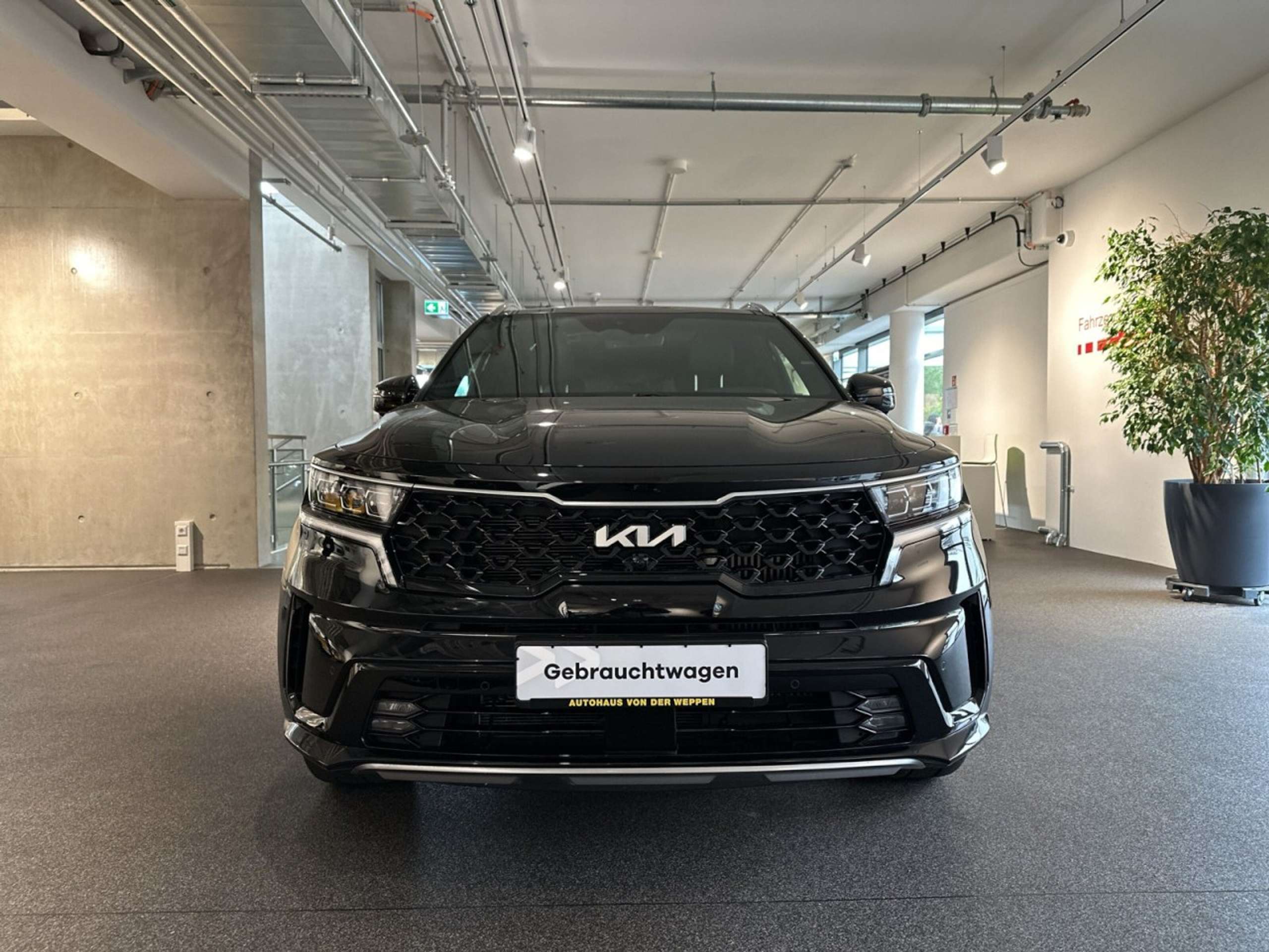 Kia - Sorento