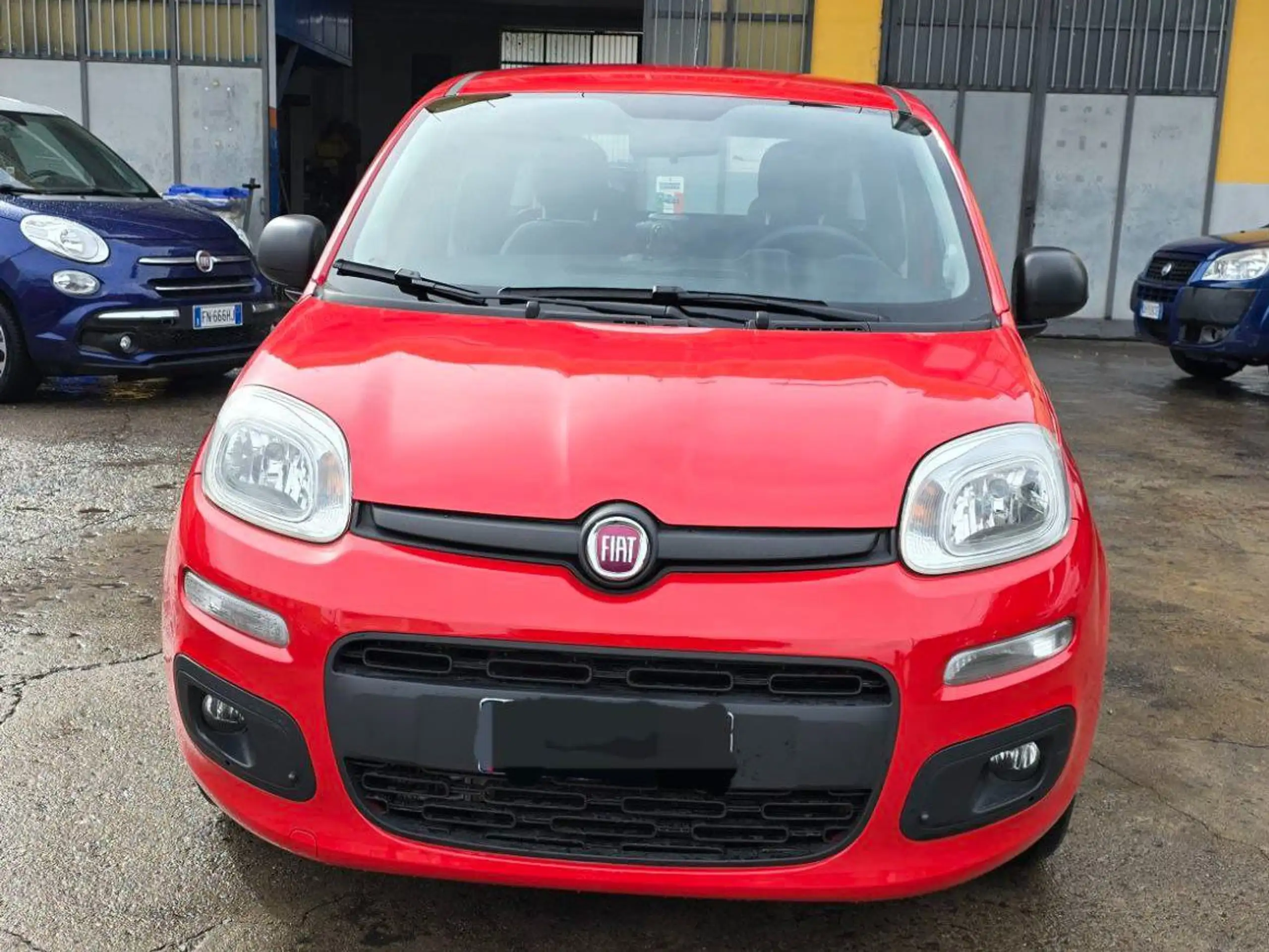 Fiat - Panda