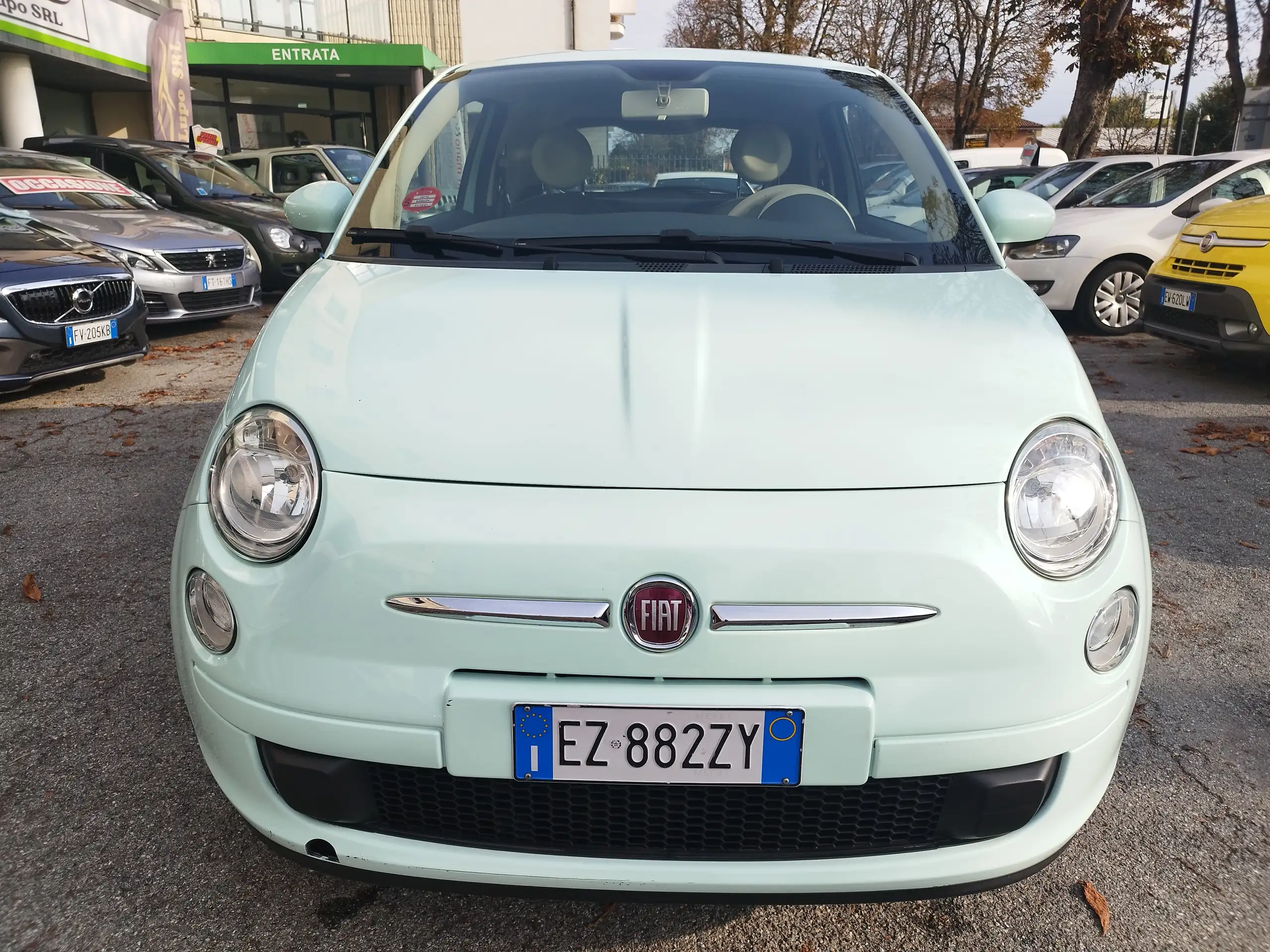 Fiat - 500