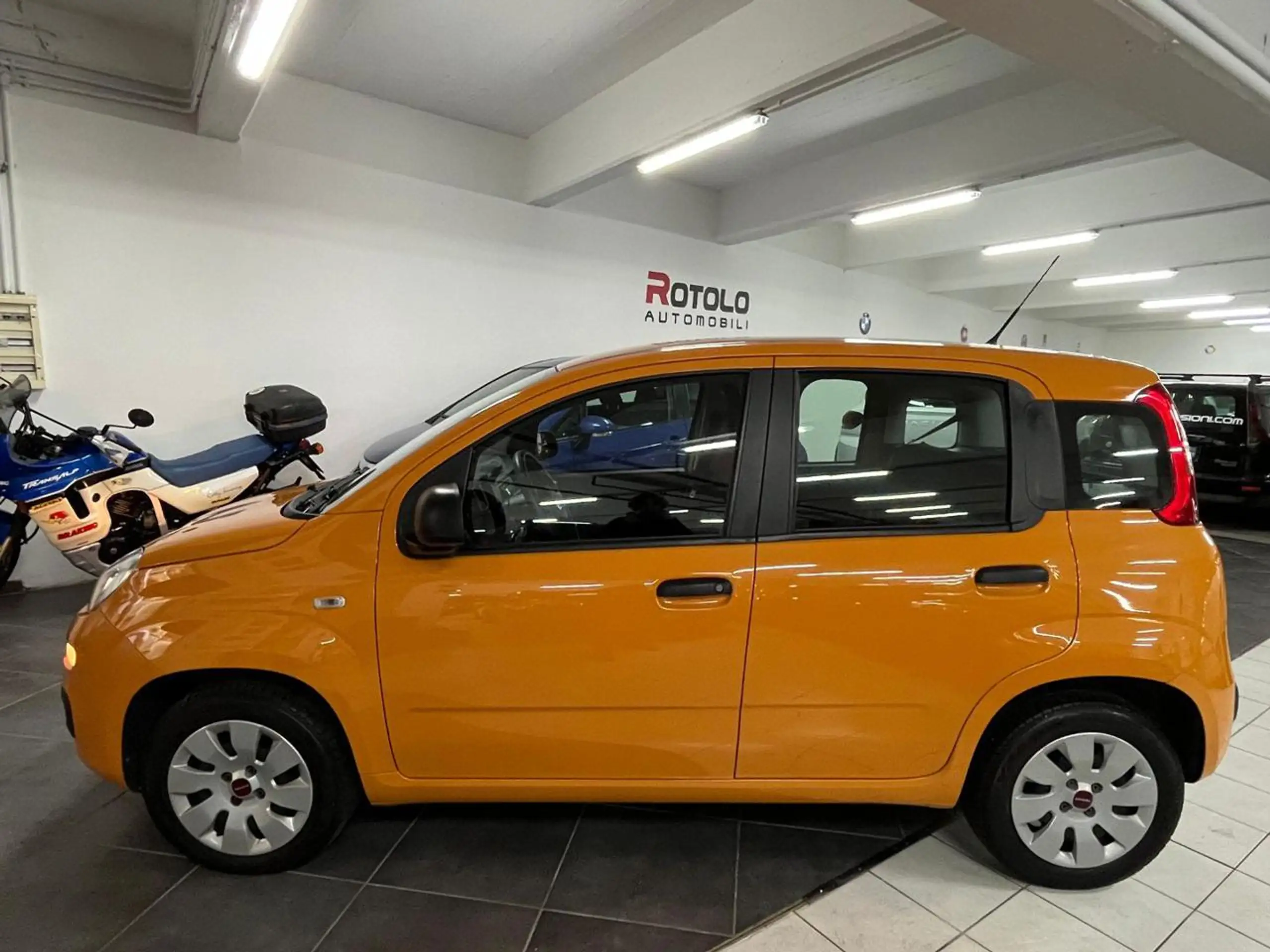 Fiat - Panda