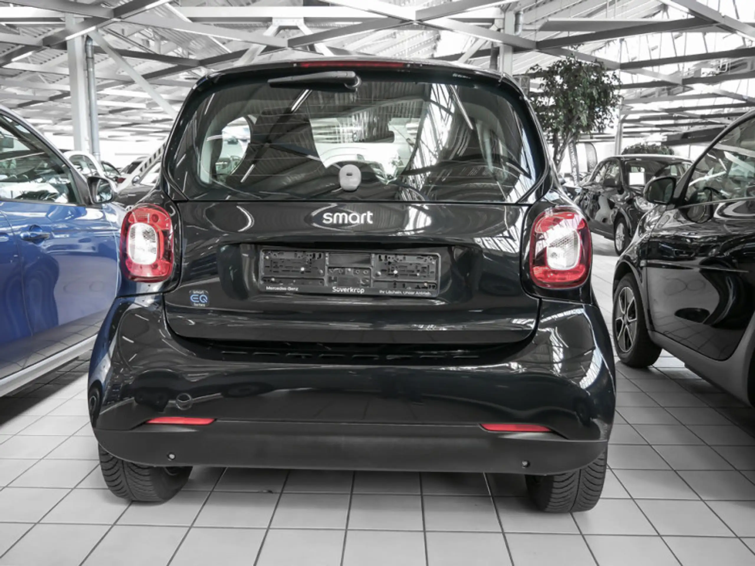 smart - forTwo