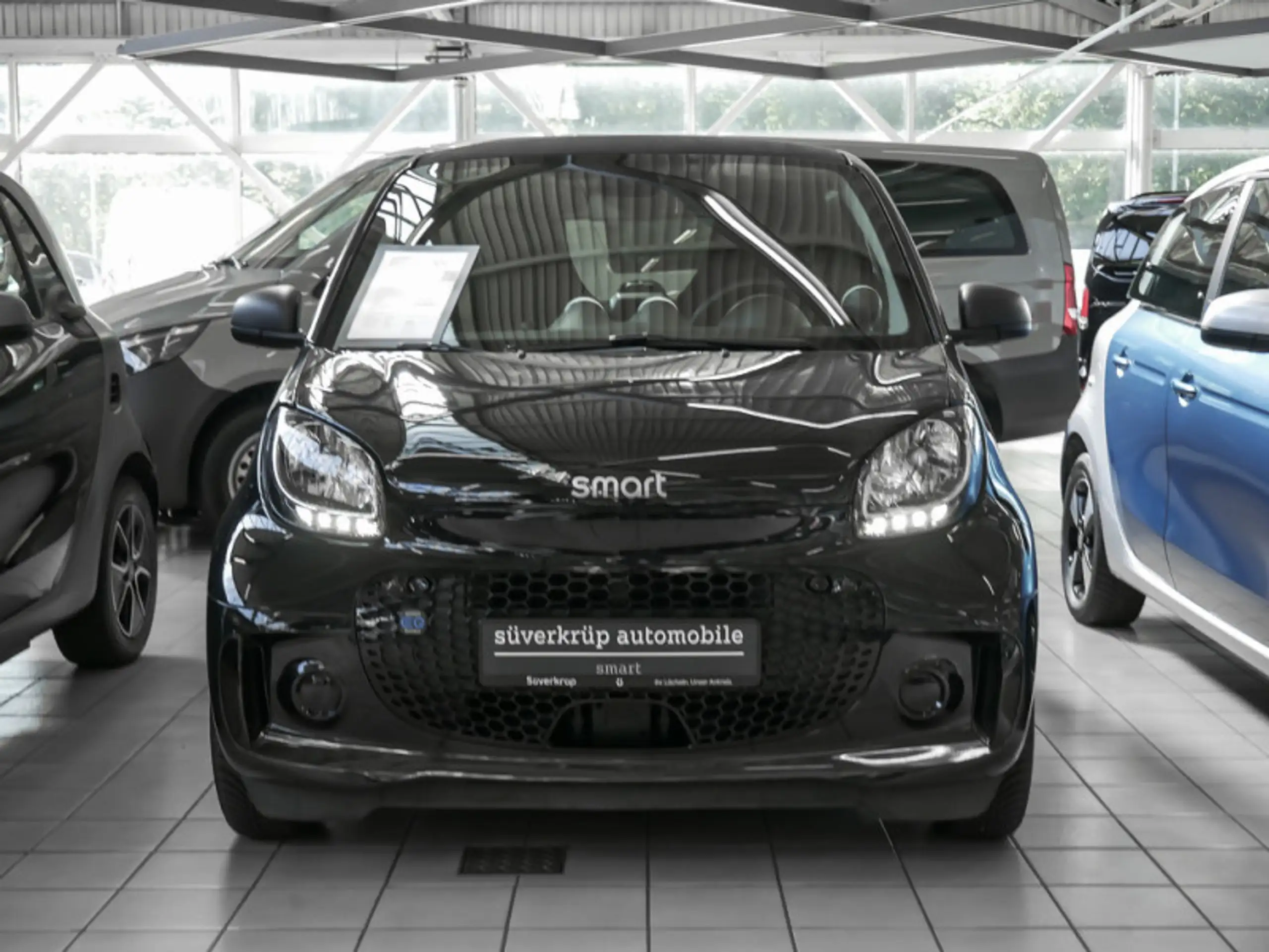 smart - forTwo