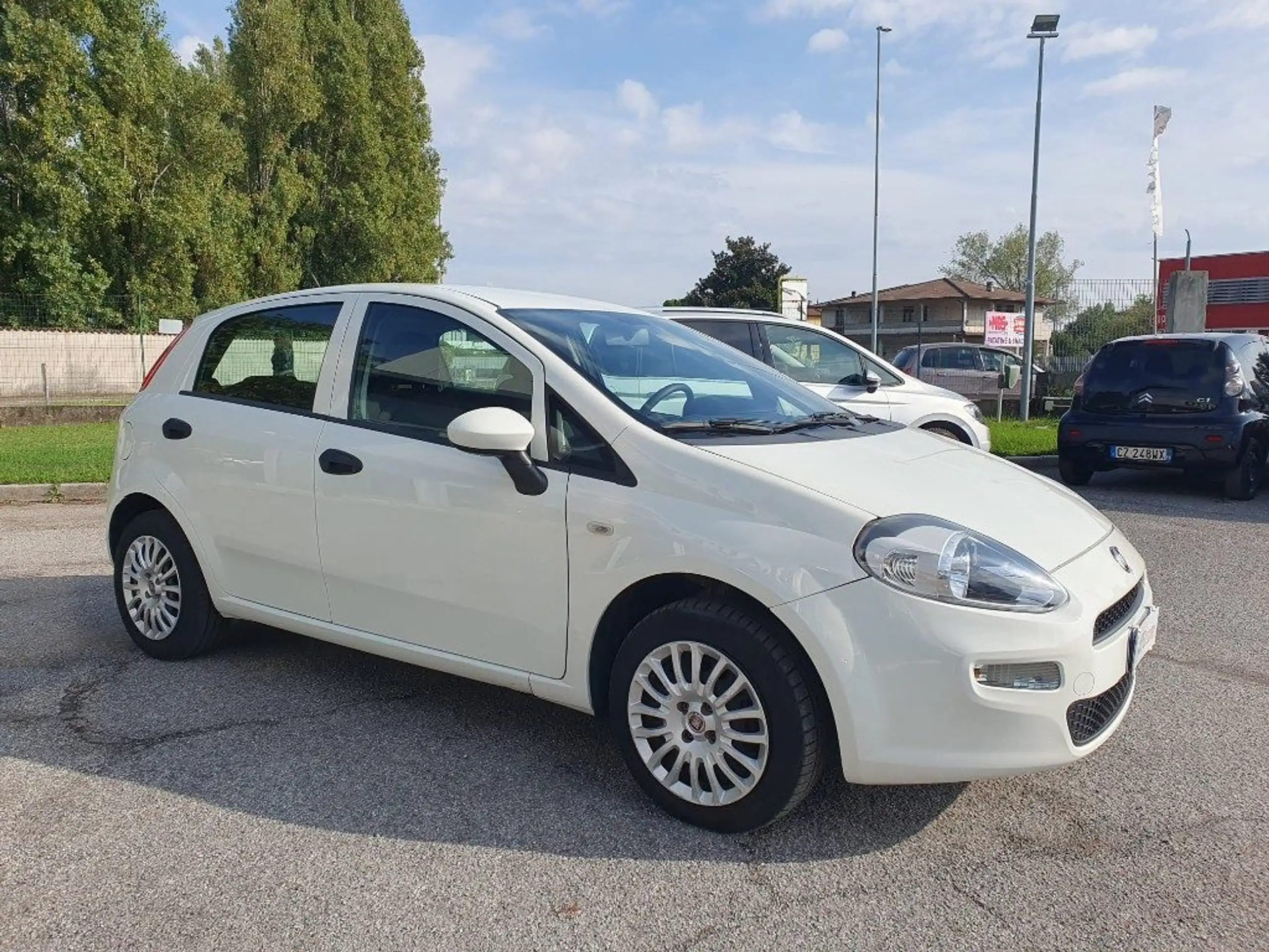 Fiat - Punto