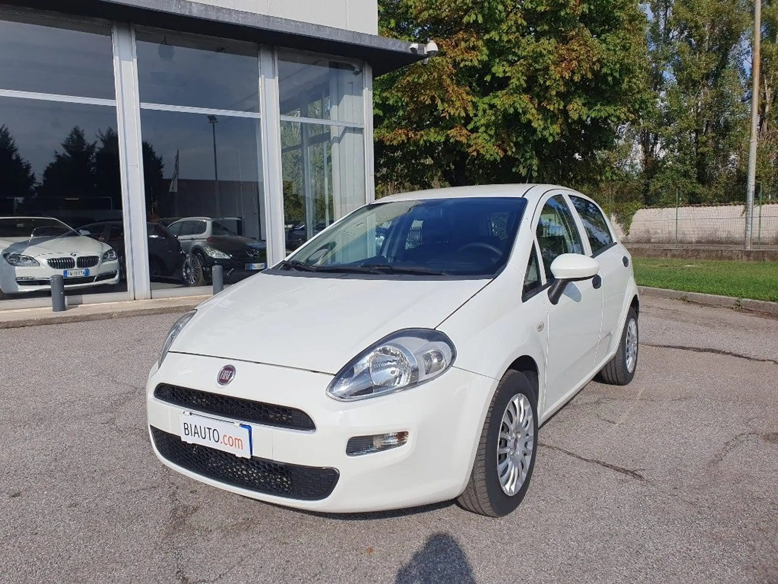 Fiat - Punto