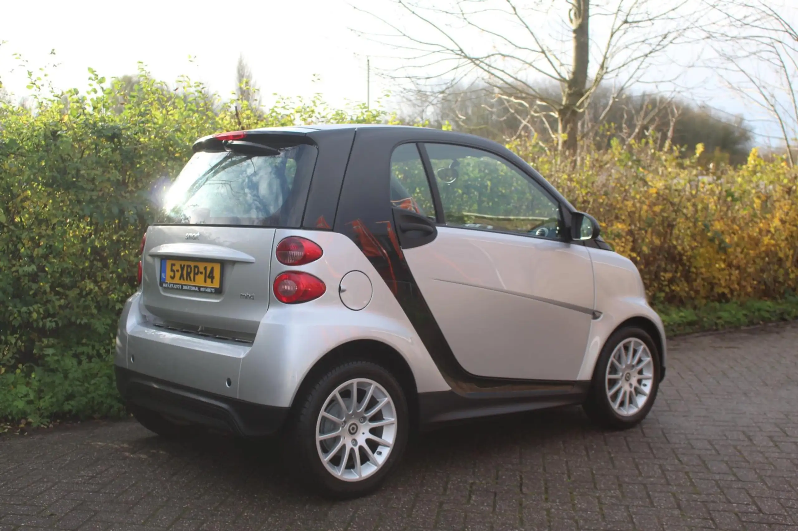 smart - forTwo