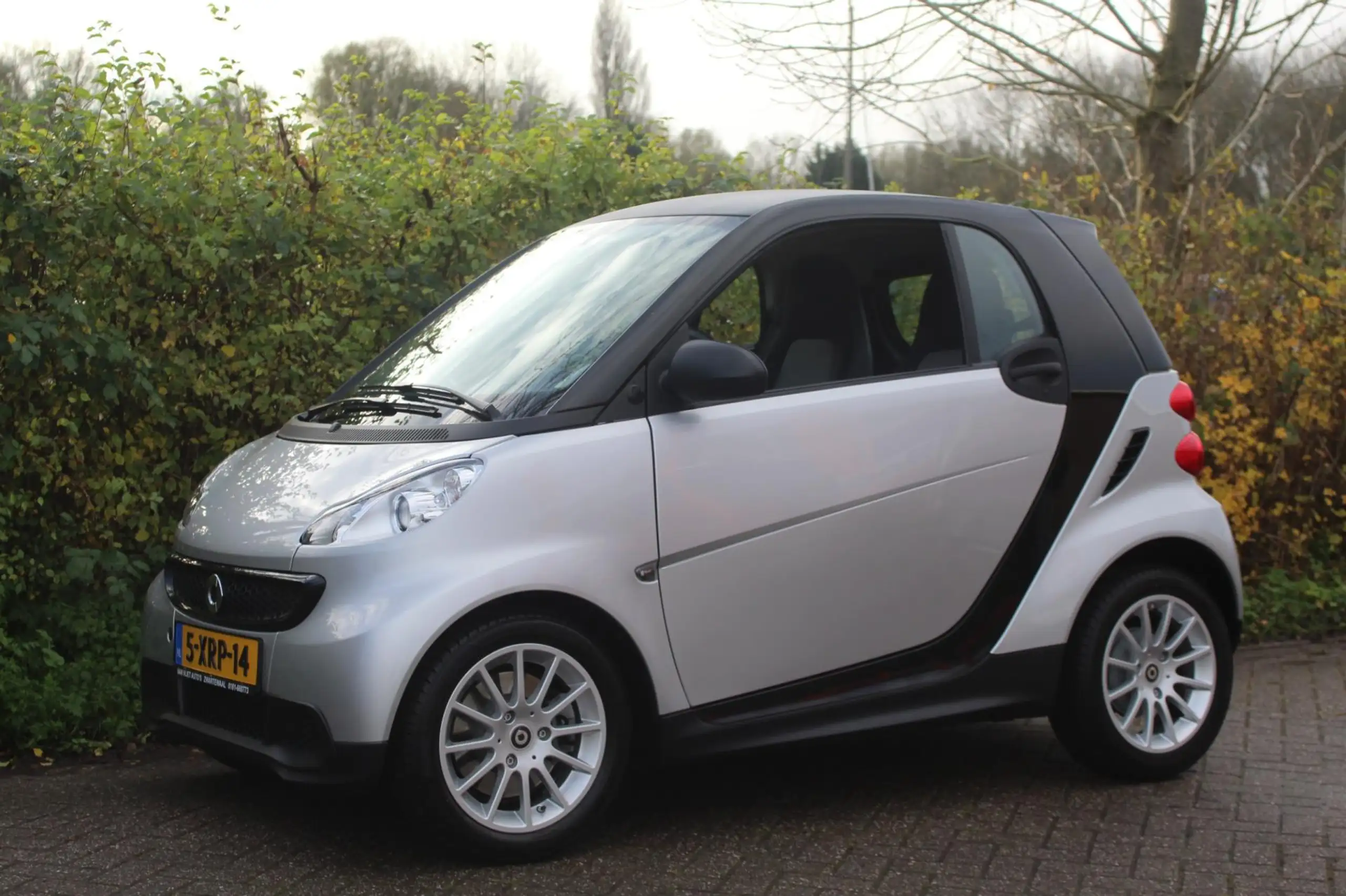 smart - forTwo