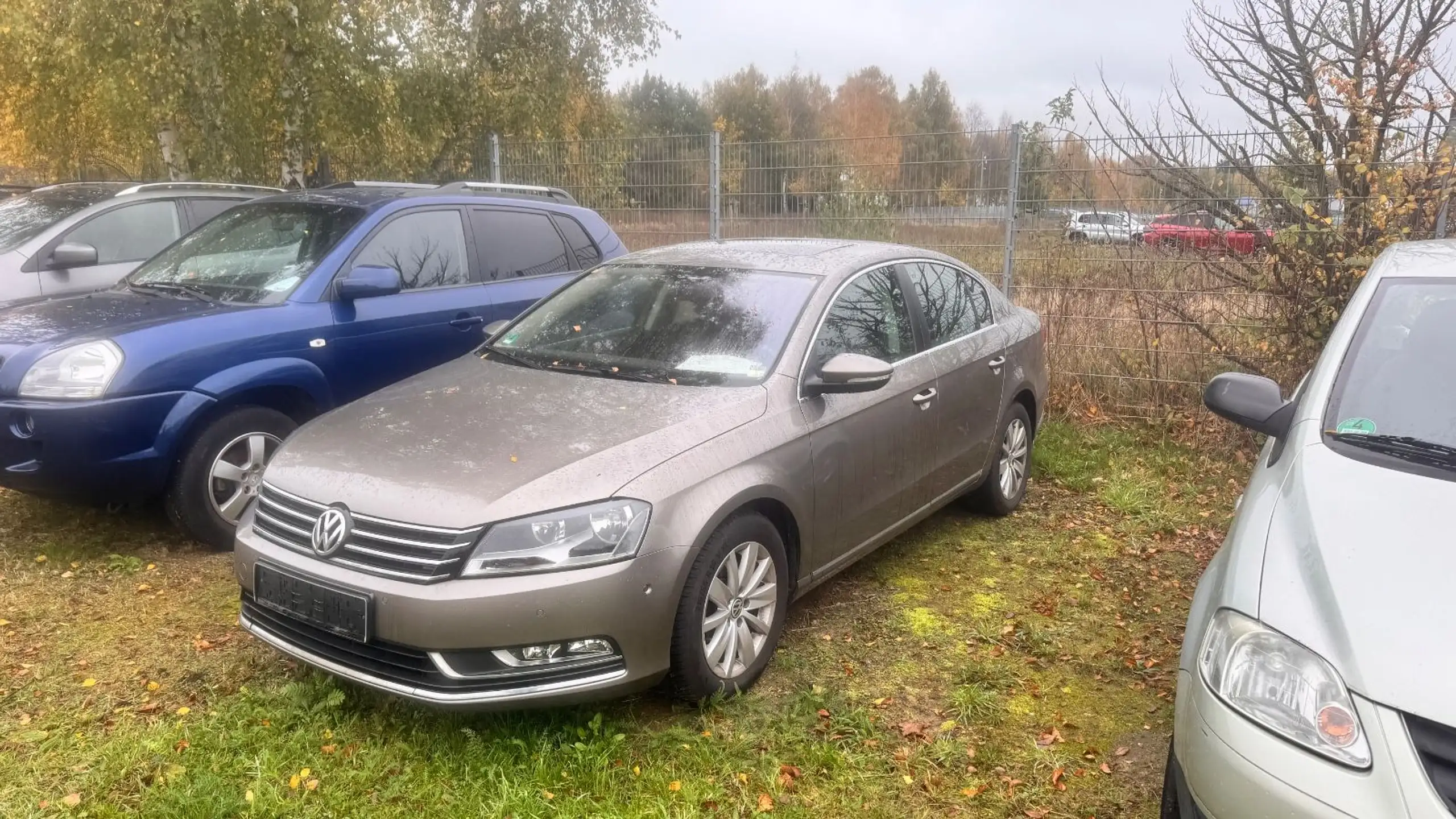 Volkswagen - Passat