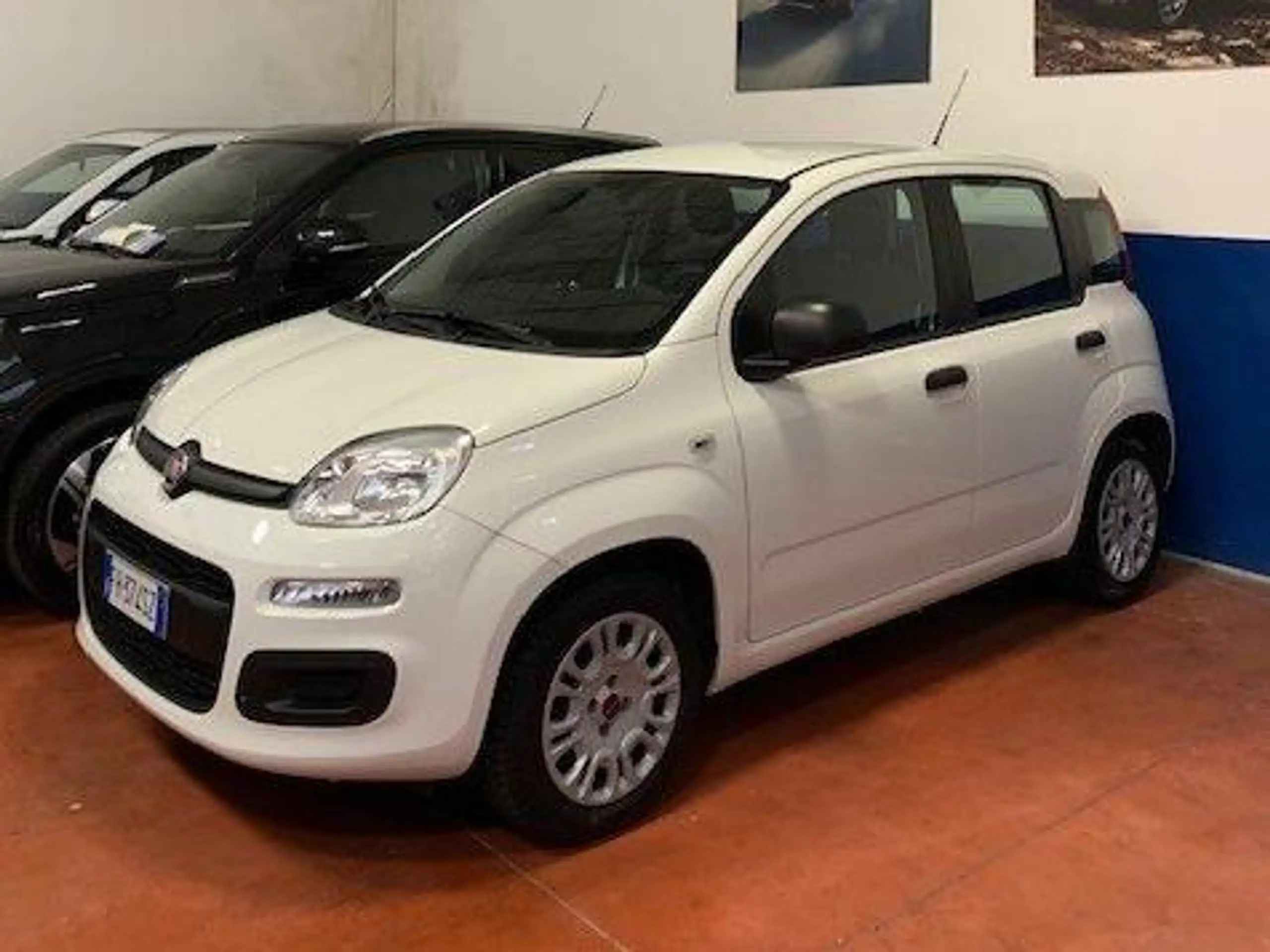 Fiat - Panda