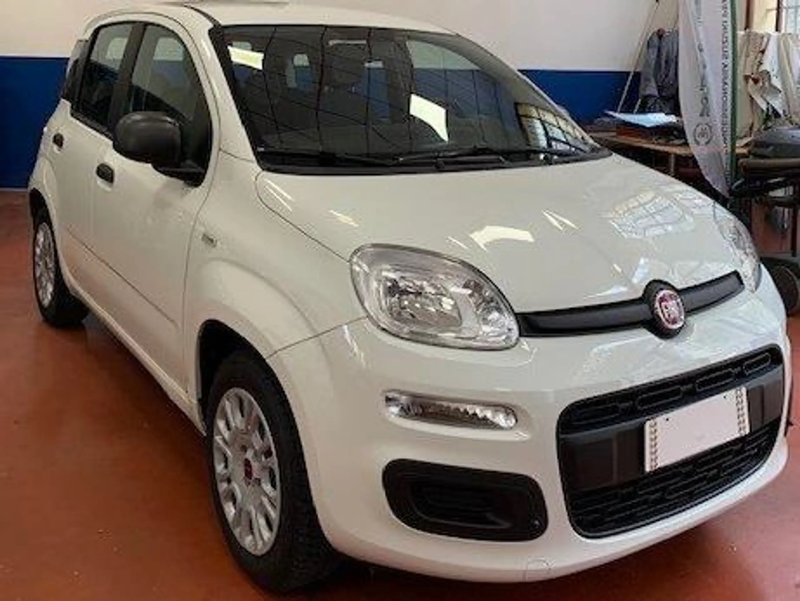 Fiat - Panda