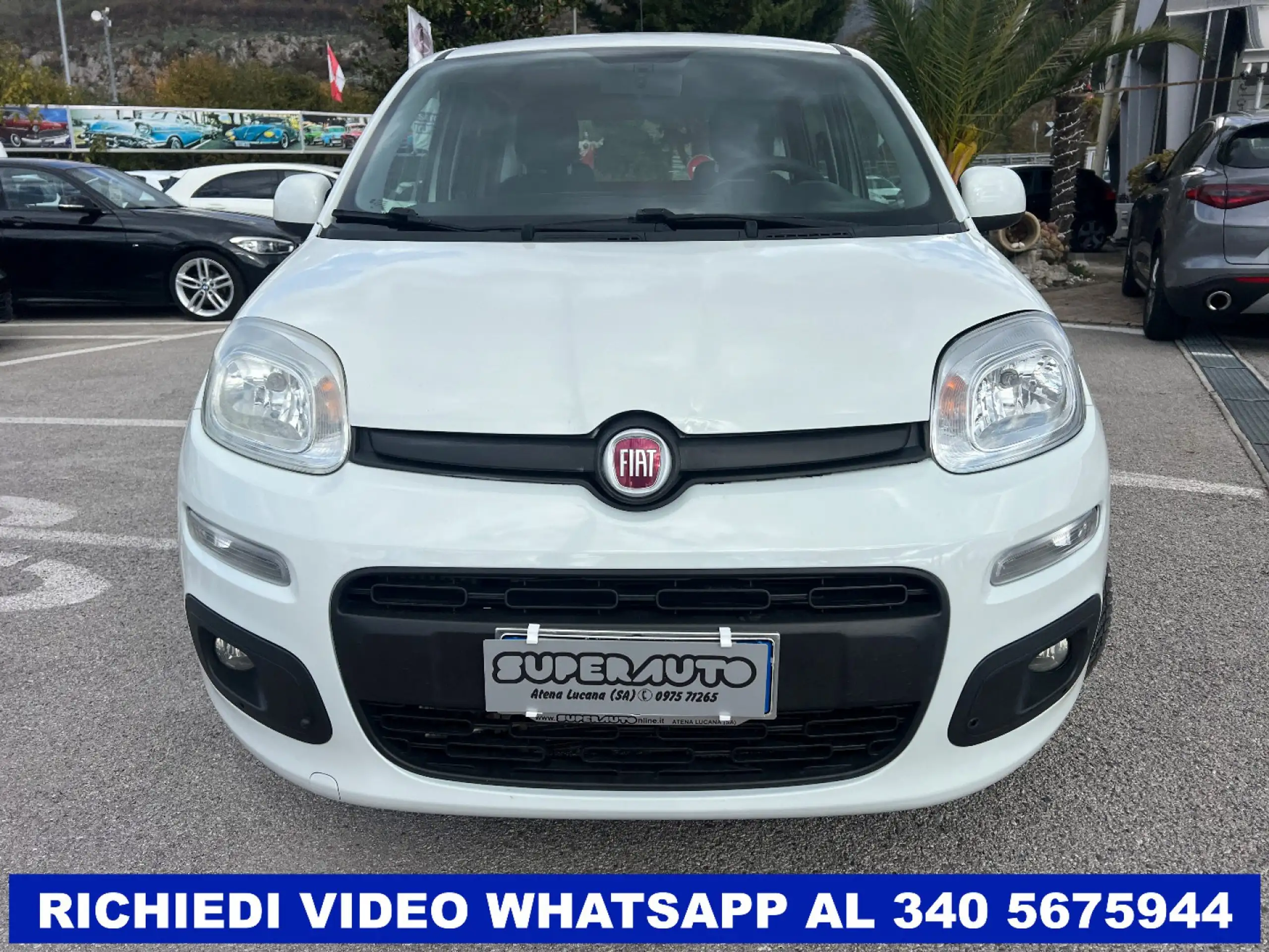 Fiat - Panda