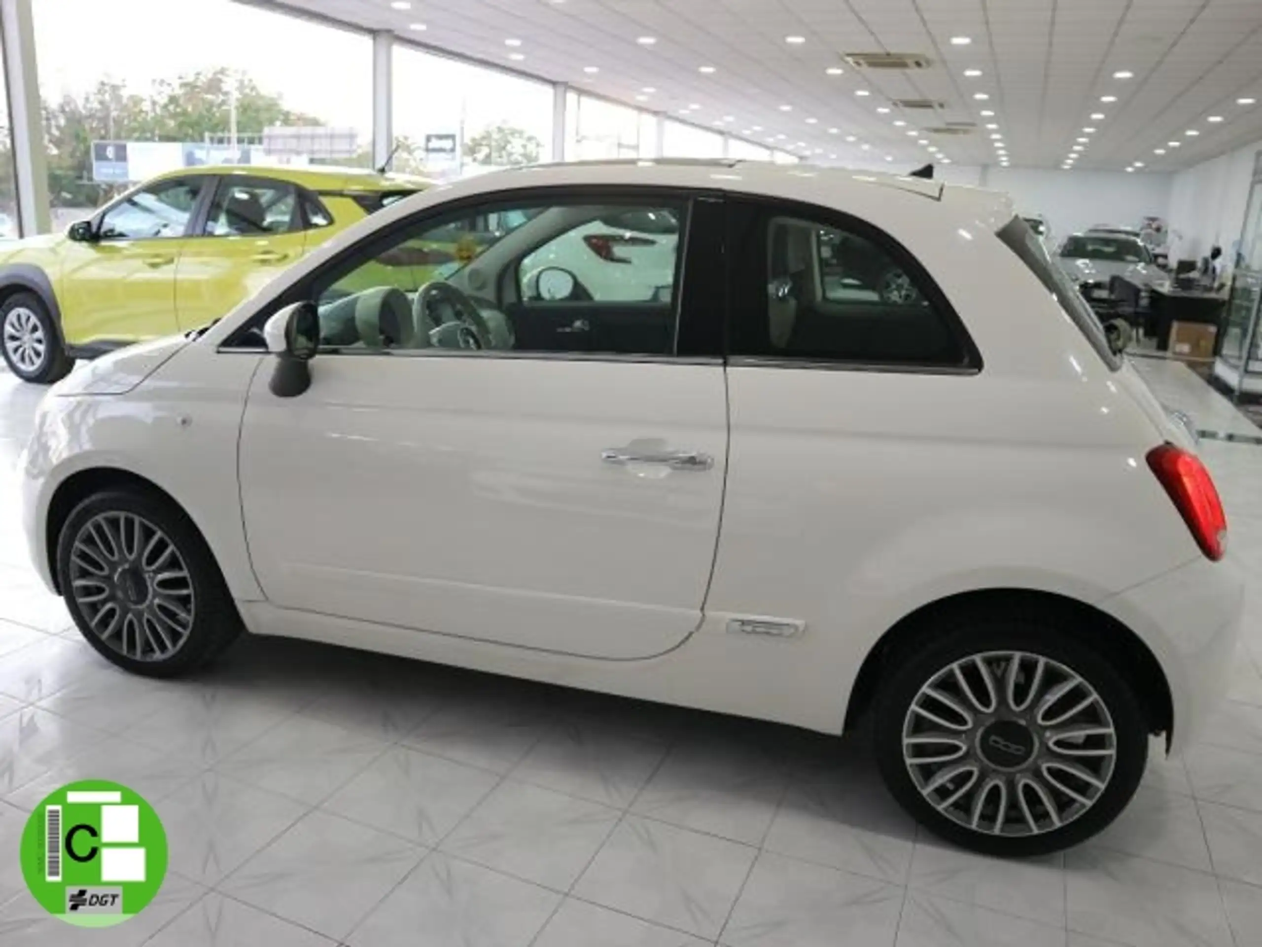 Fiat - 500