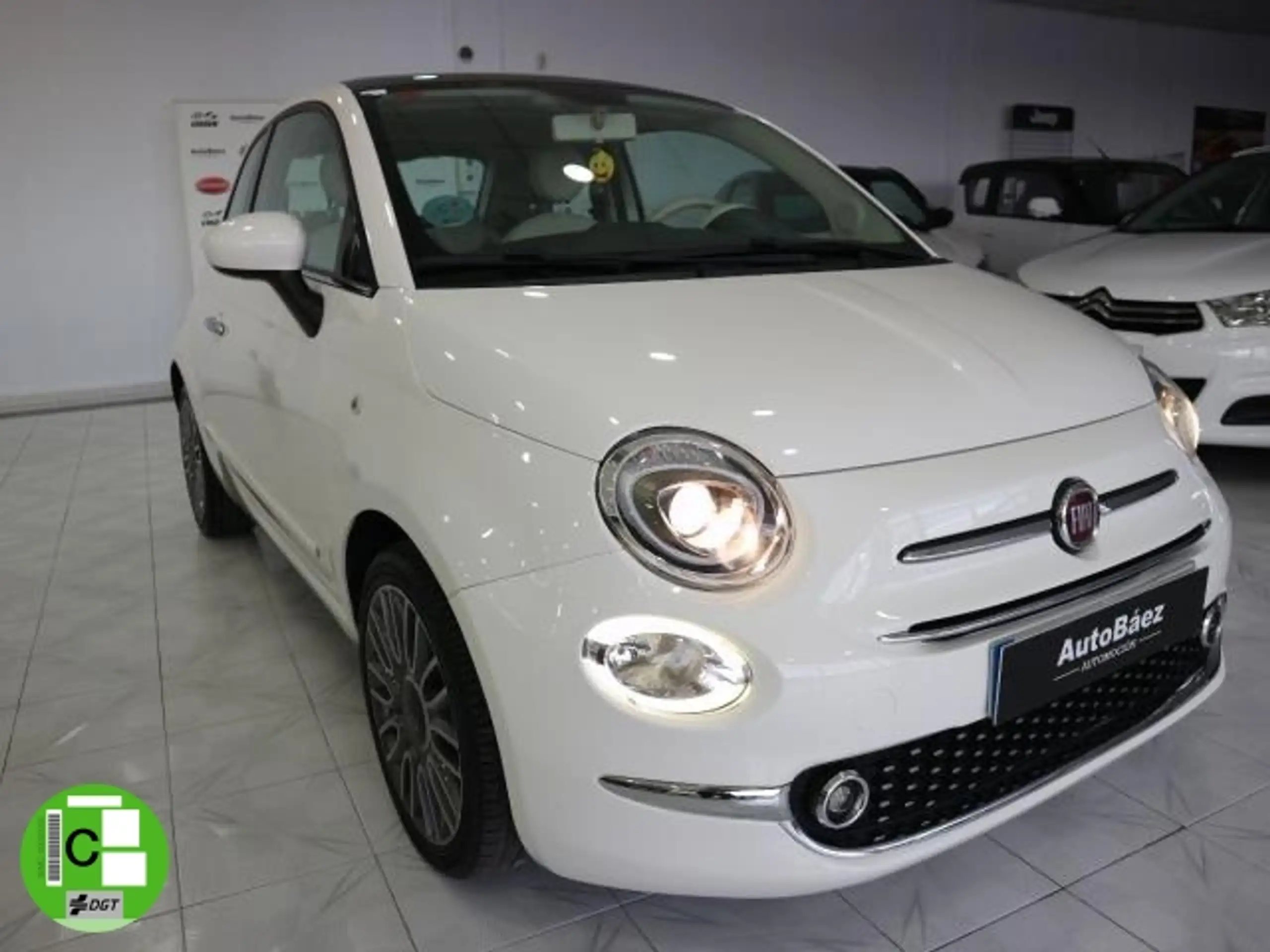 Fiat - 500