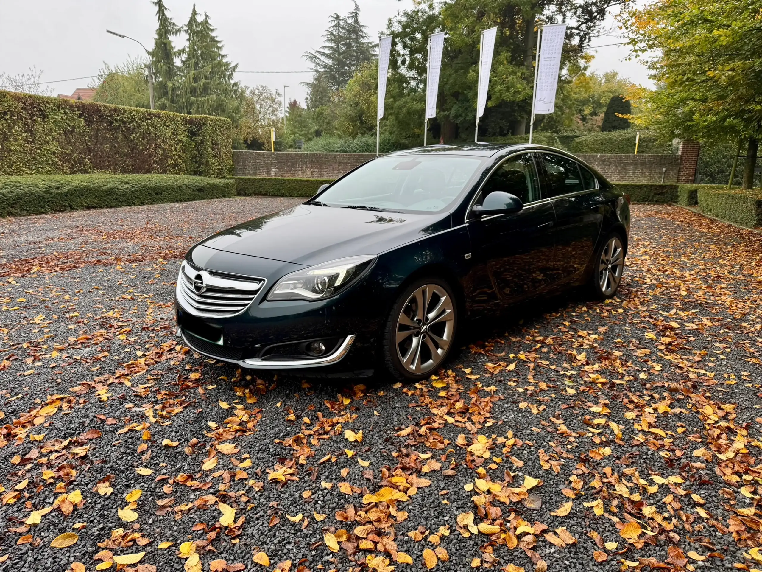 Opel - Insignia