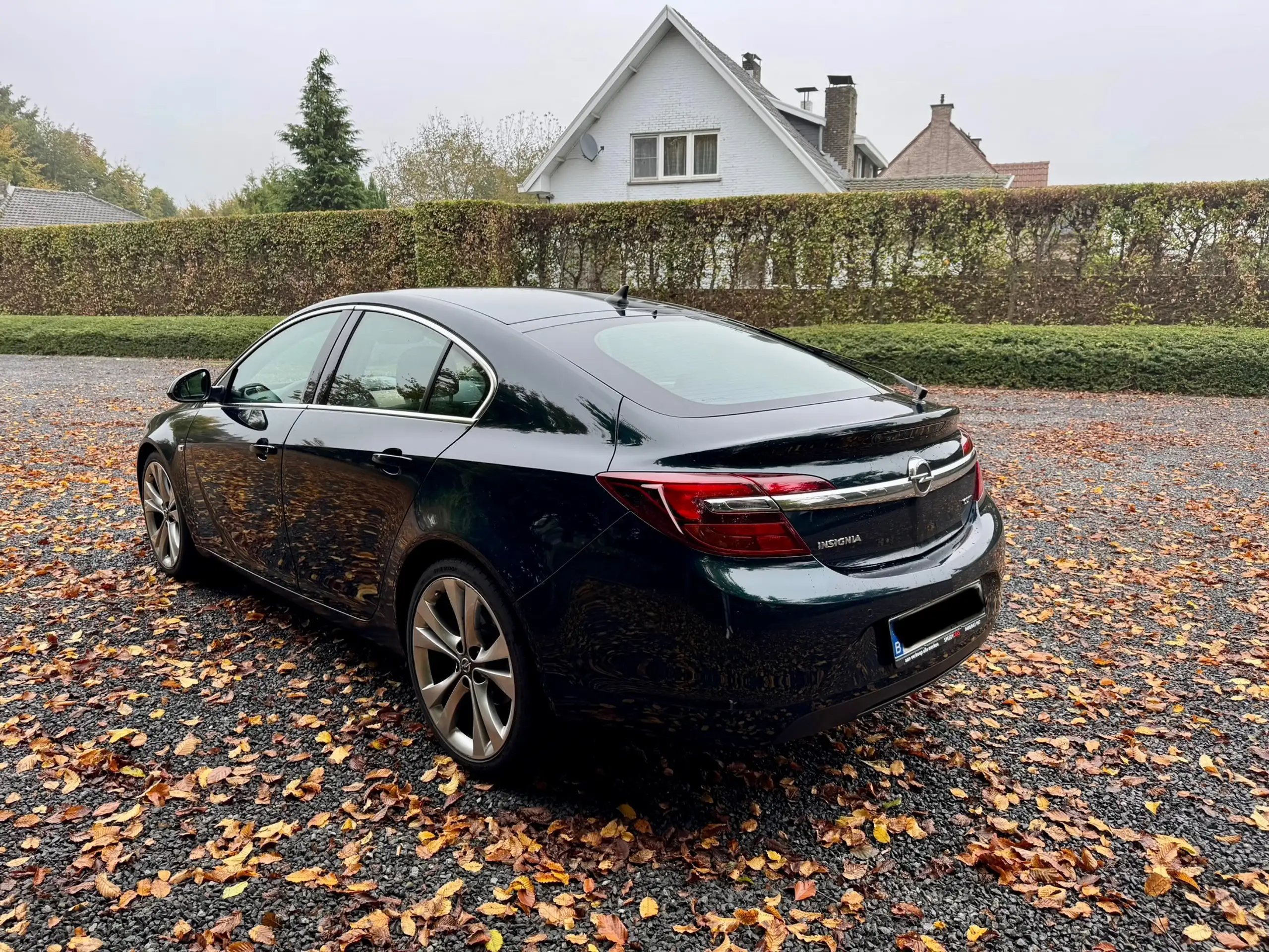 Opel - Insignia