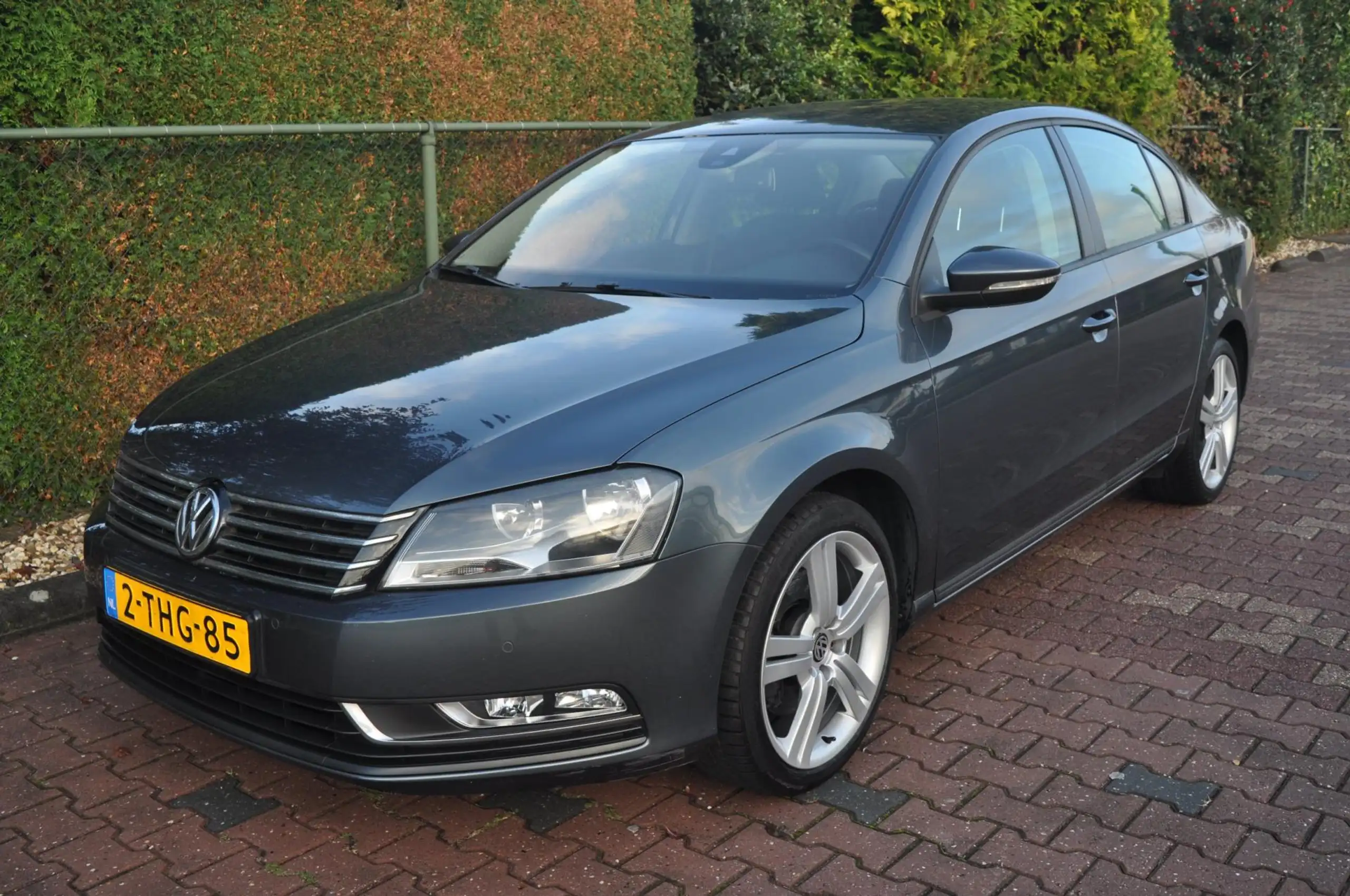 Volkswagen - Passat