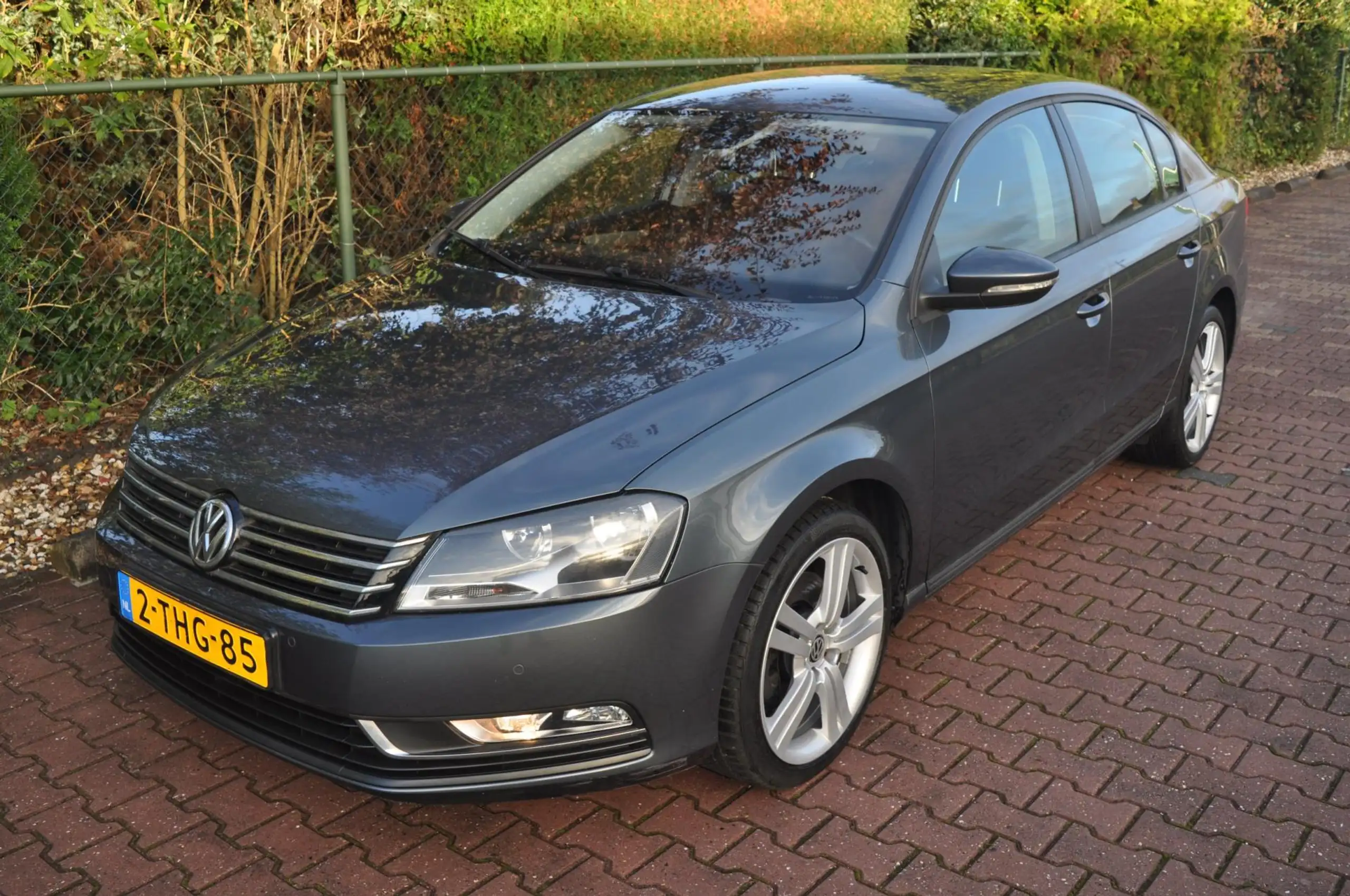 Volkswagen - Passat