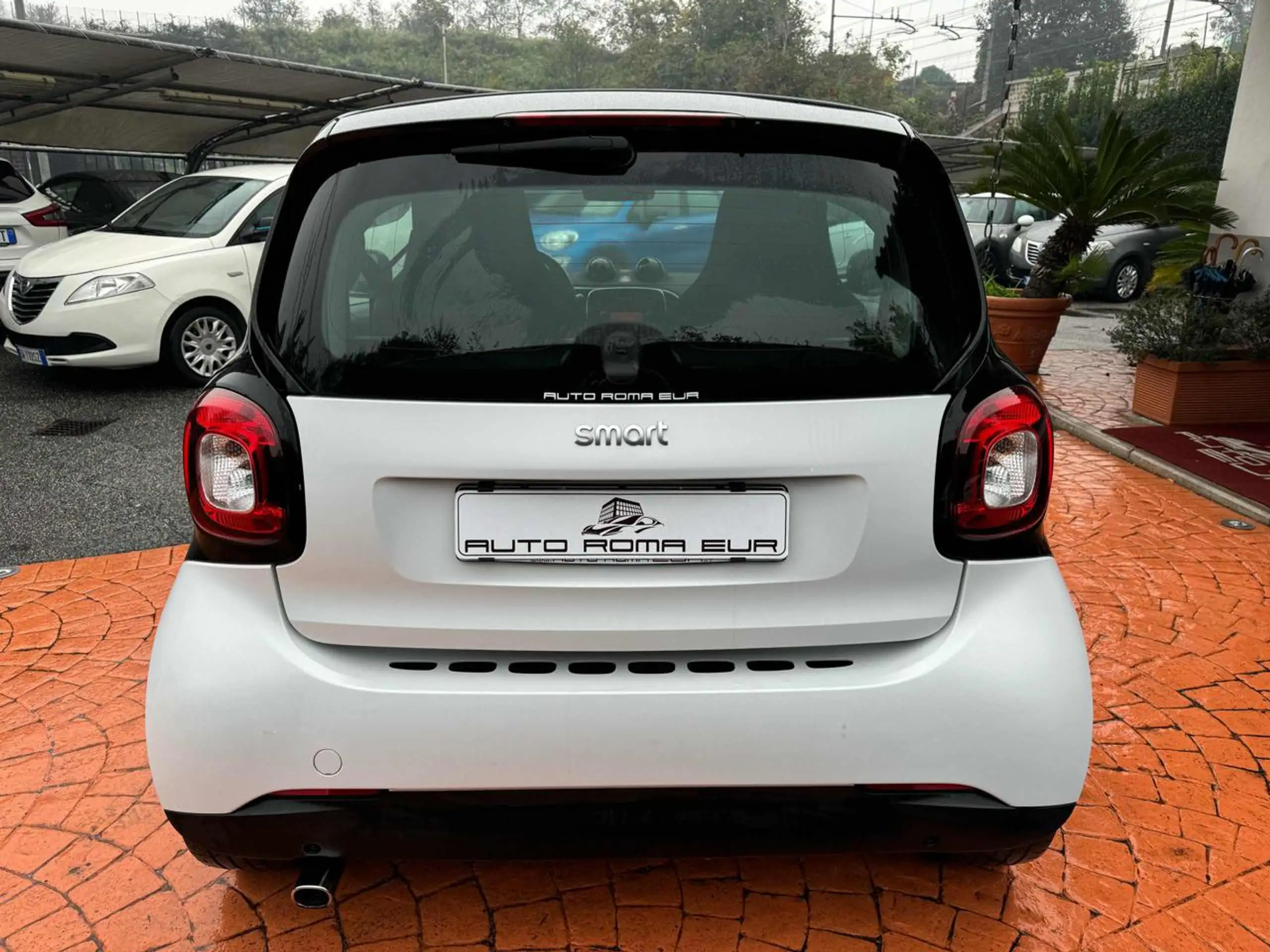 smart - forTwo