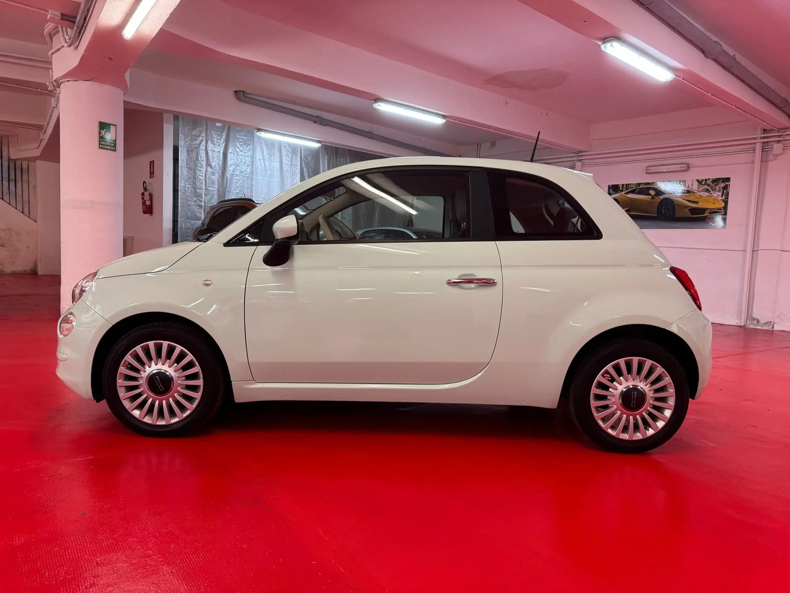 Fiat - 500