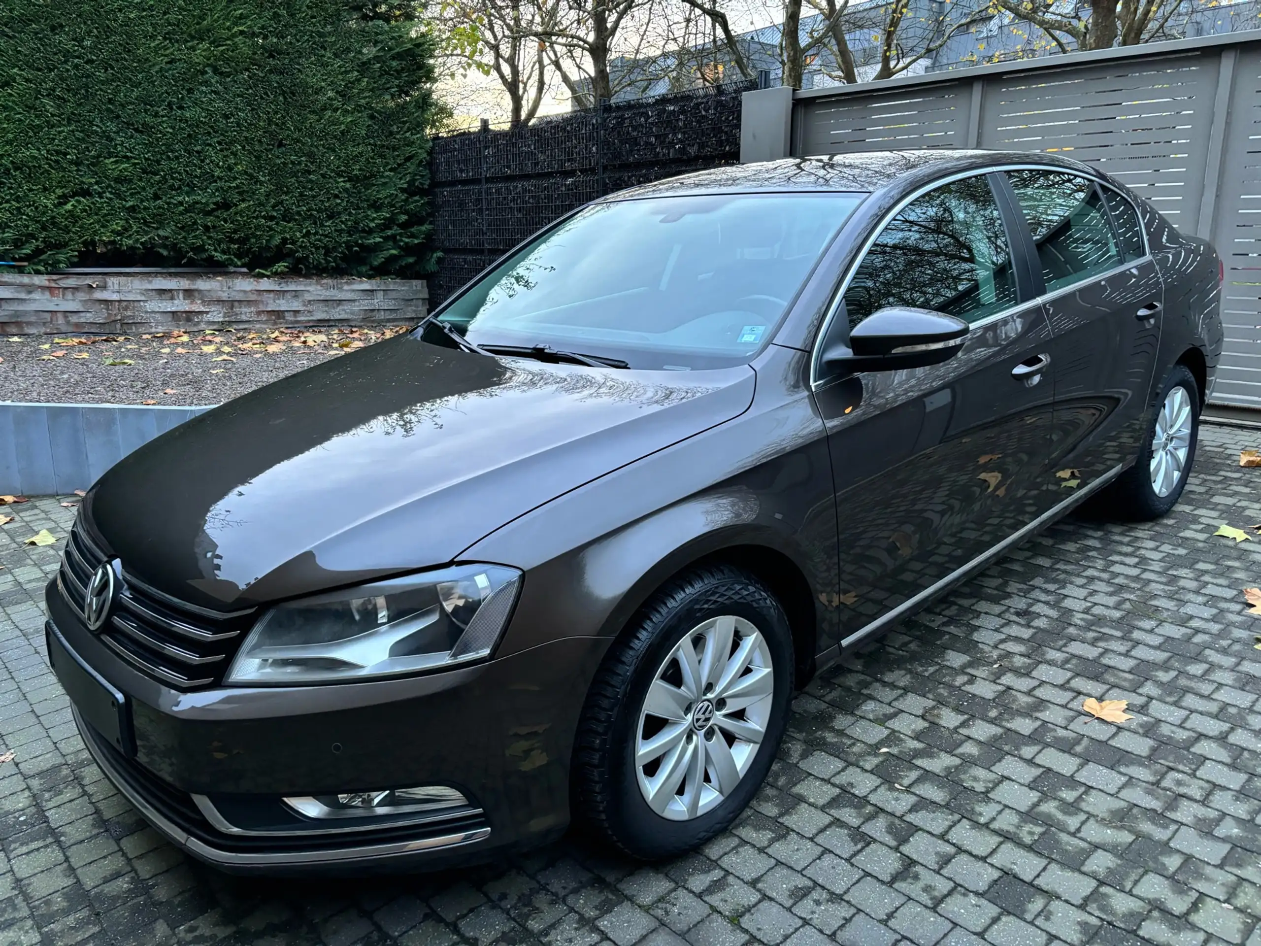 Volkswagen - Passat