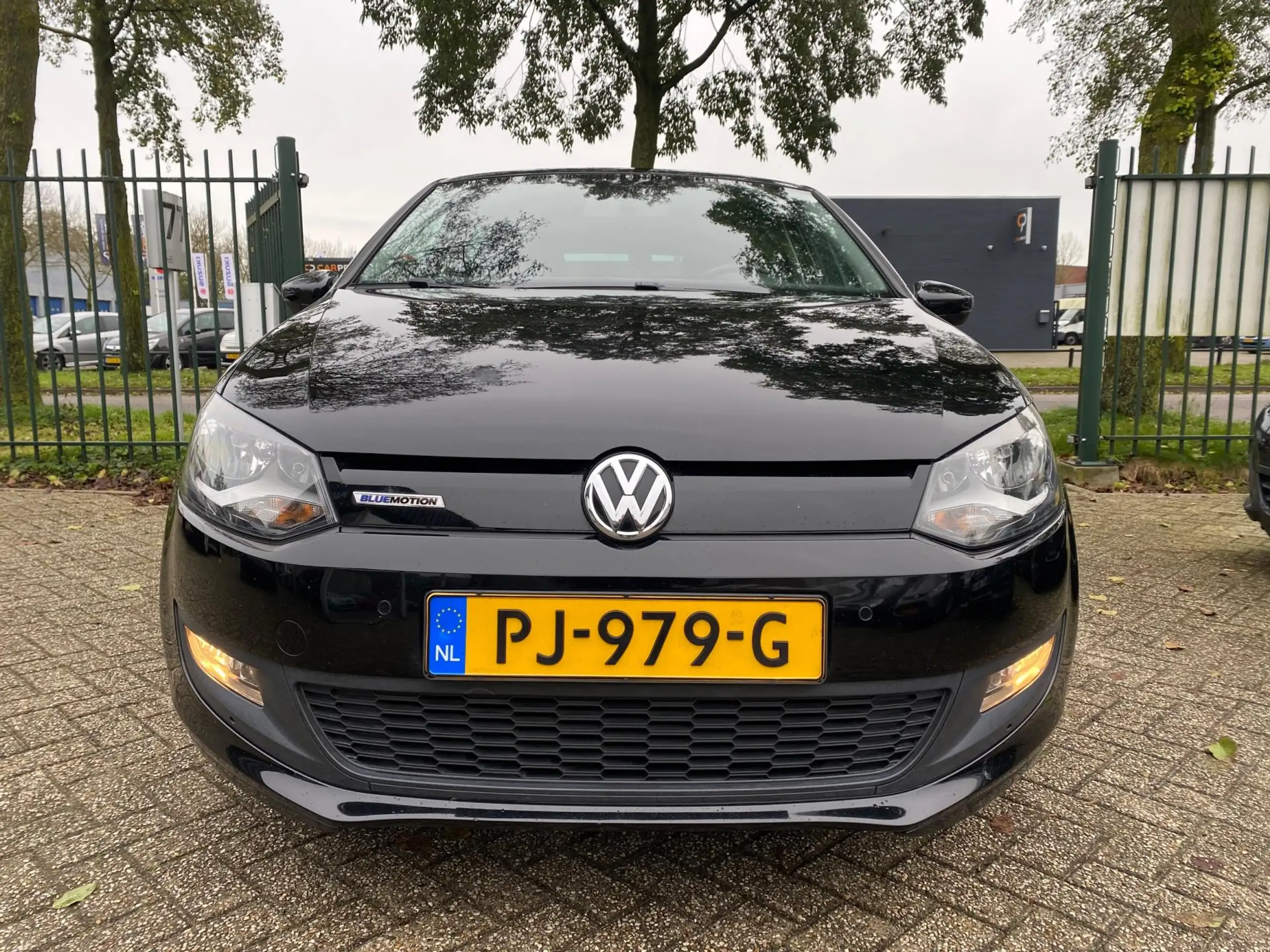 Volkswagen - Polo