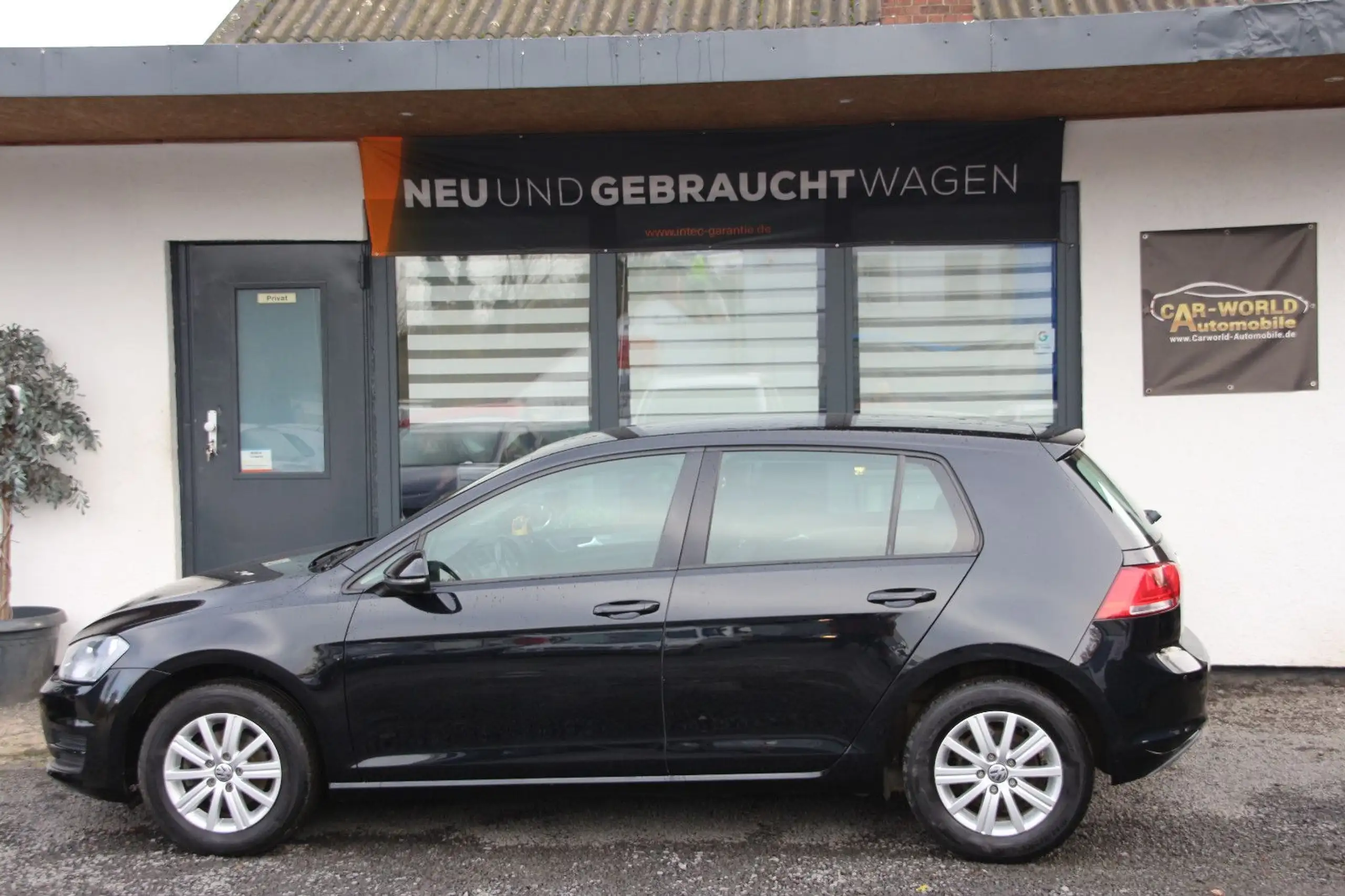 Volkswagen - Golf