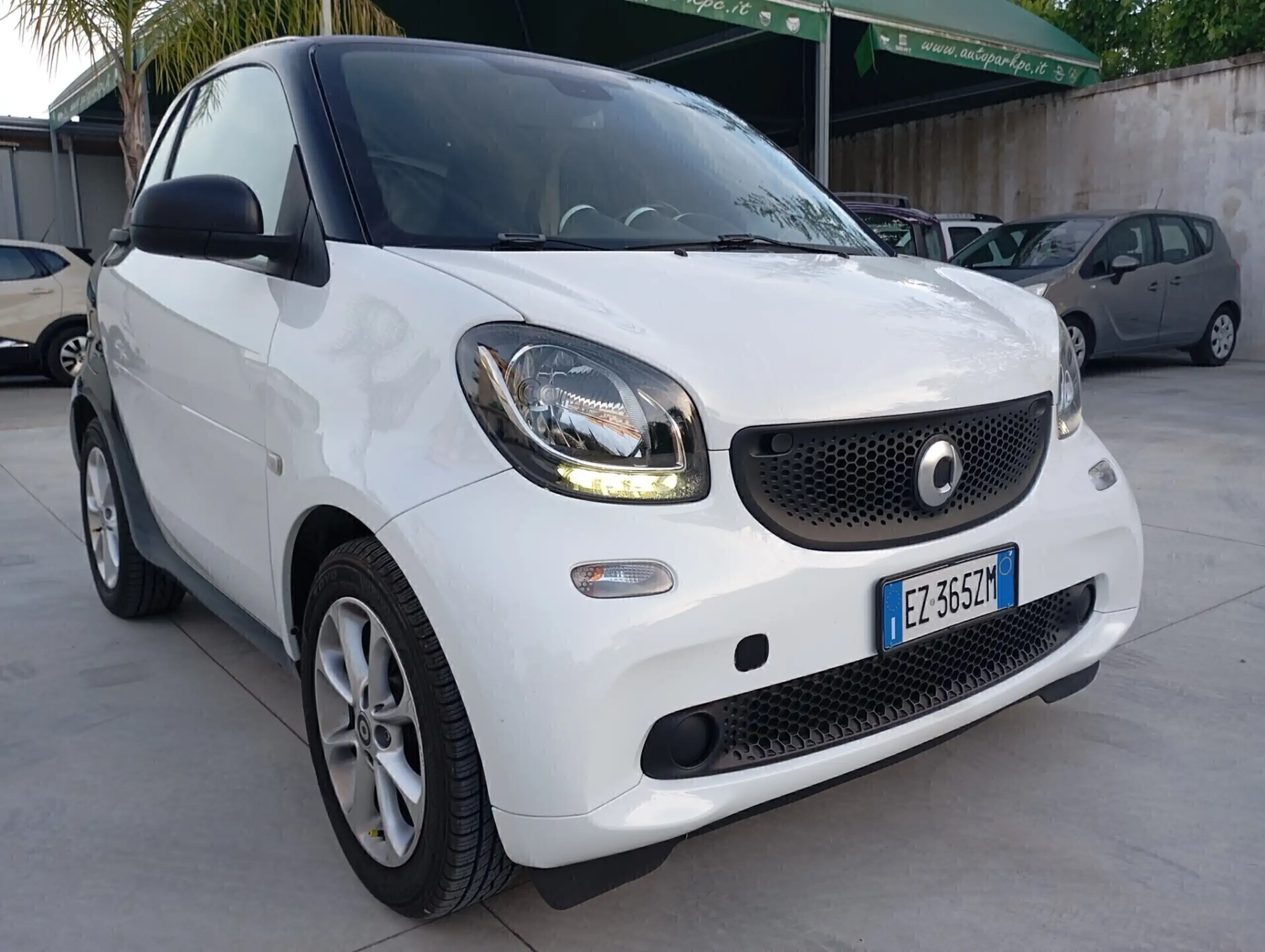 smart - forTwo