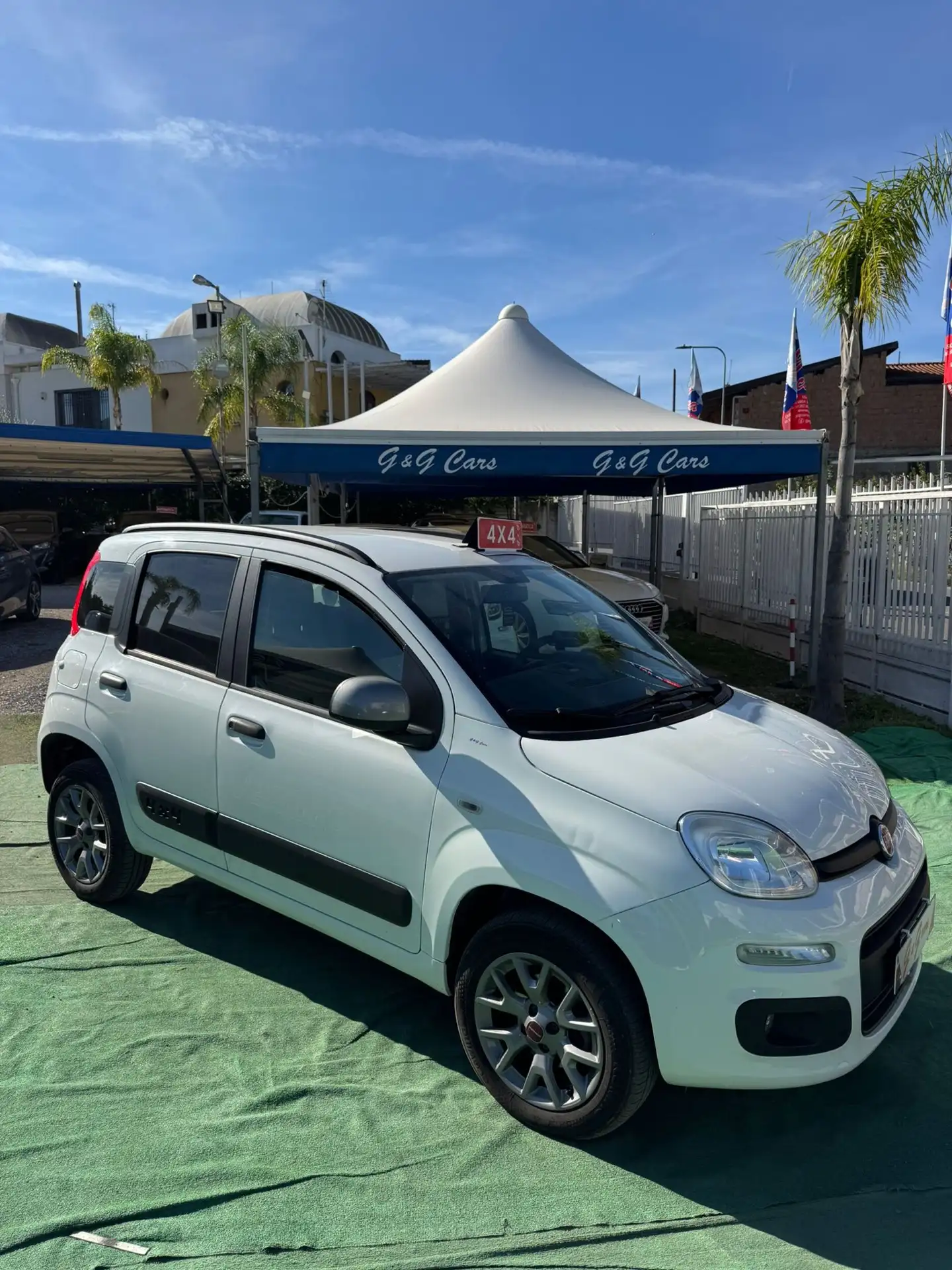 Fiat - Panda