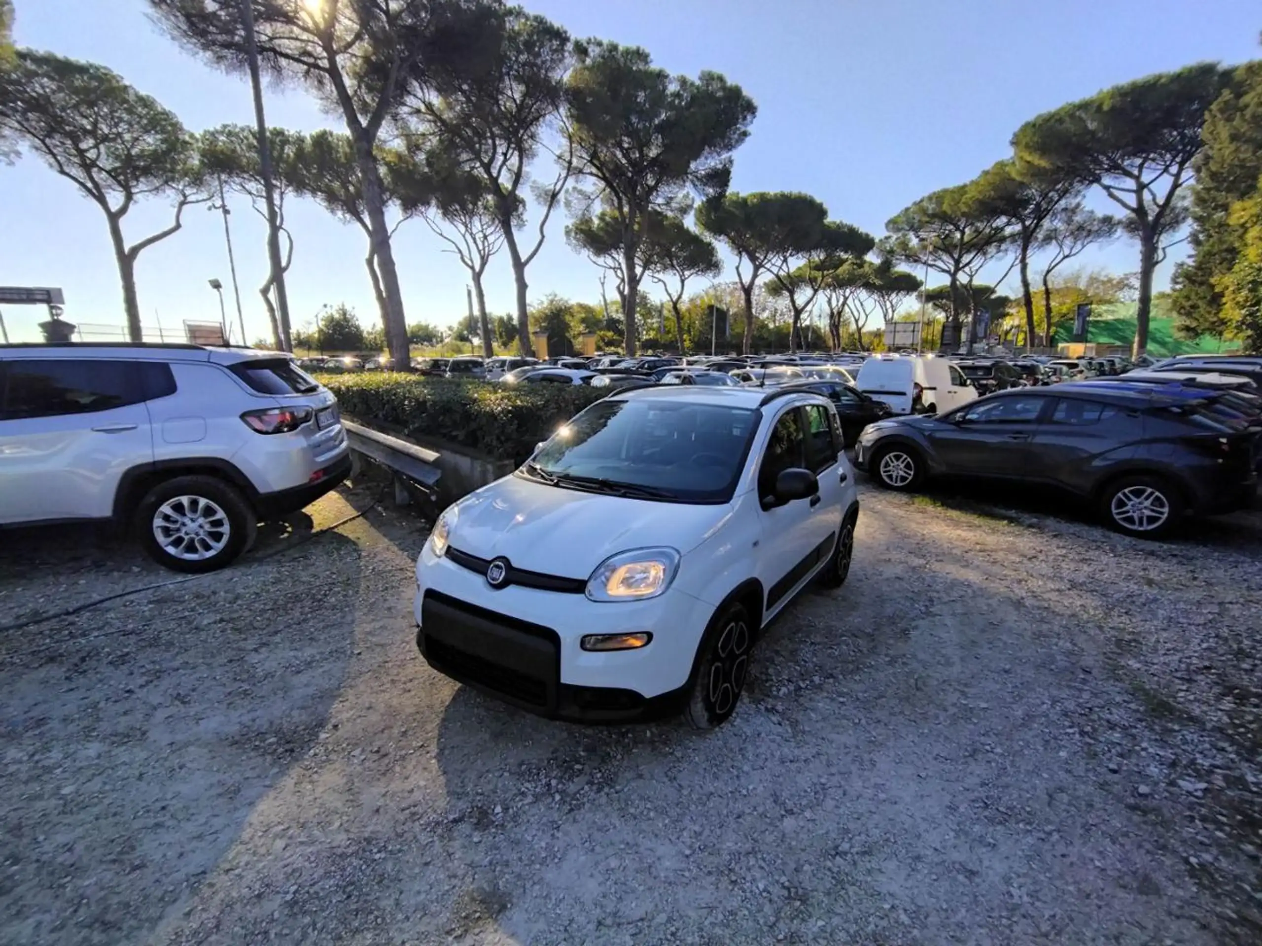 Fiat - New Panda