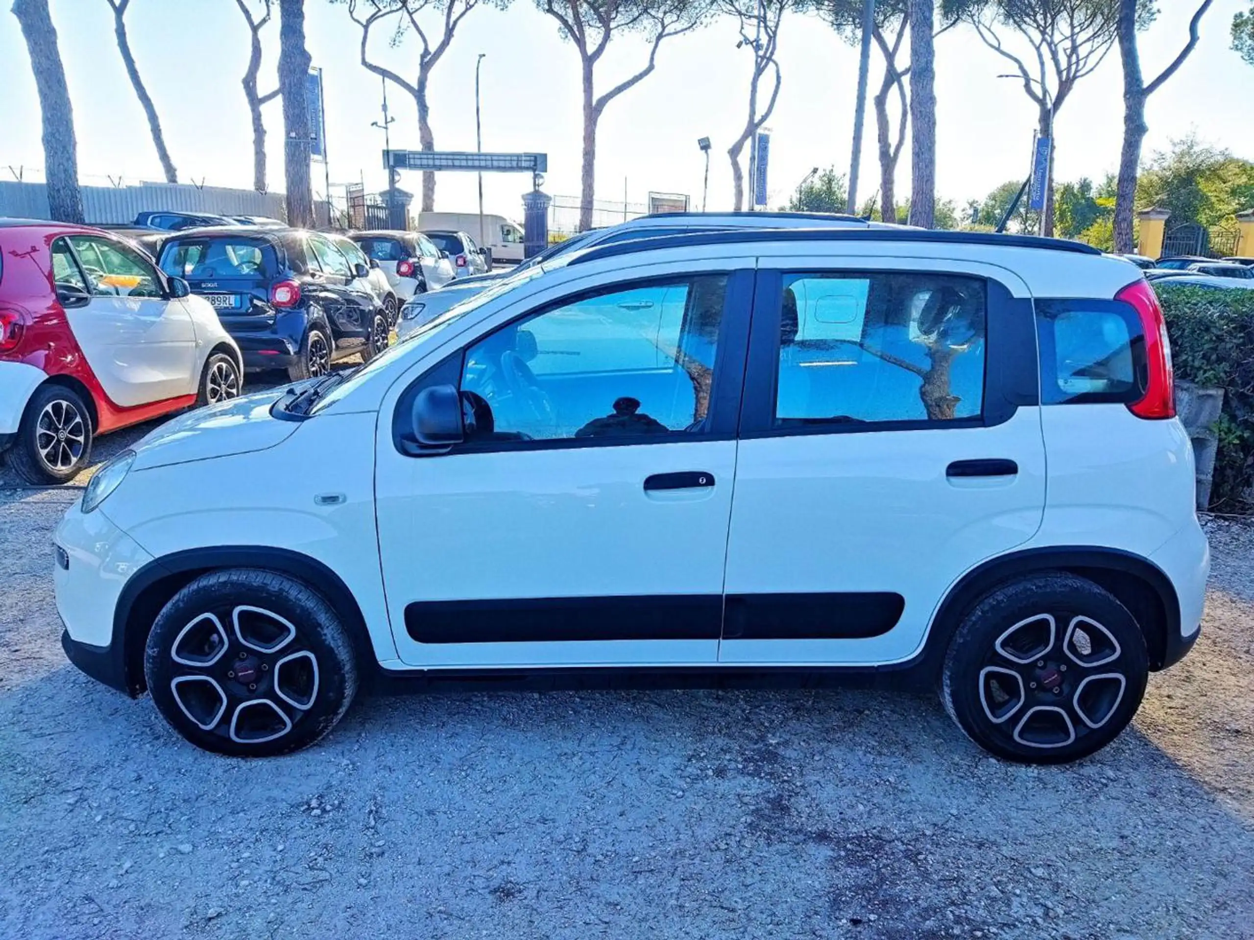 Fiat - New Panda