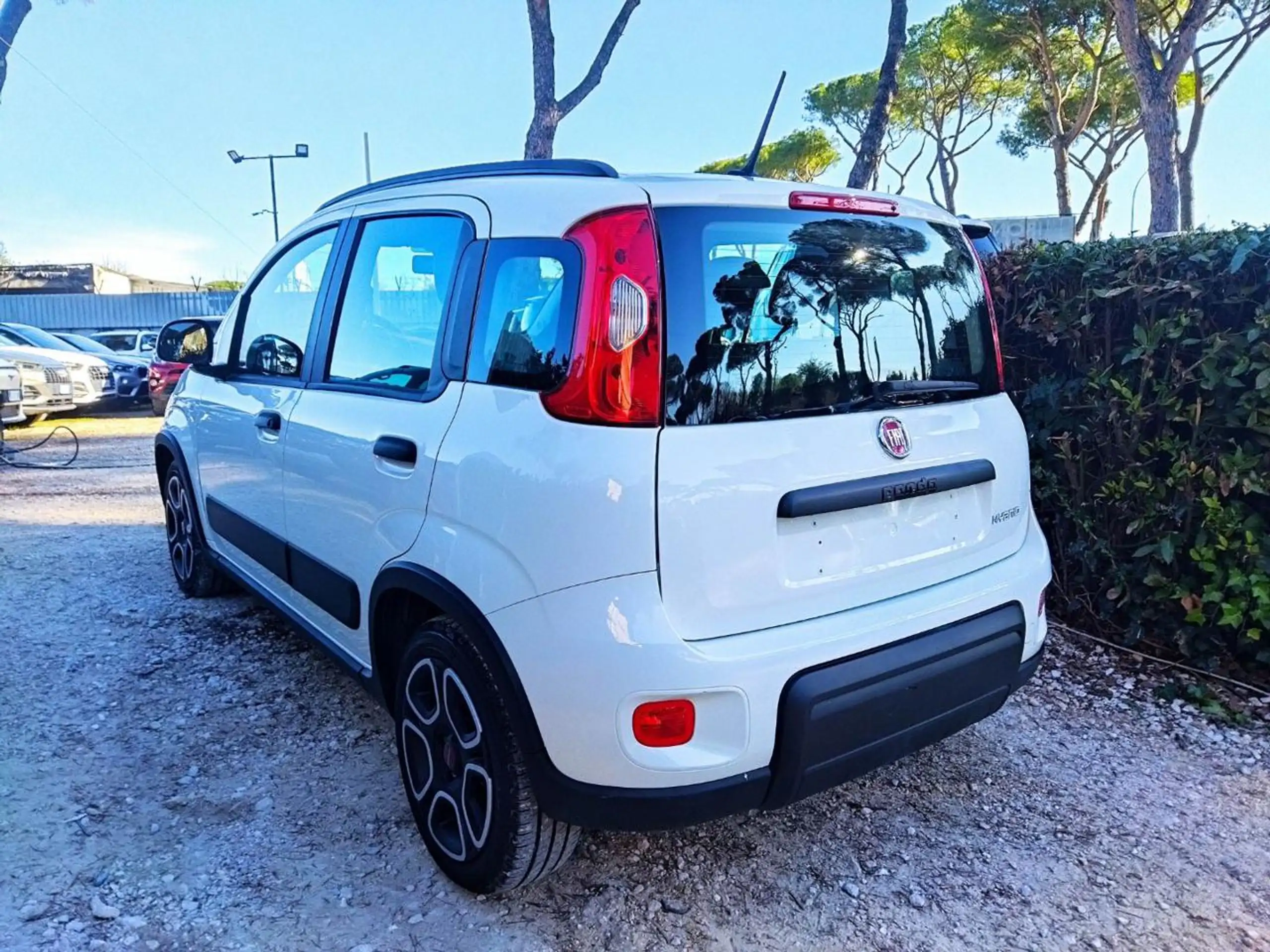 Fiat - New Panda