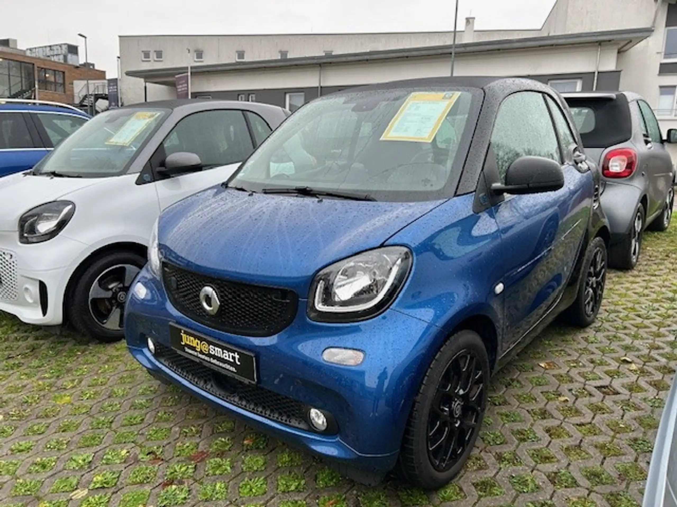 smart - forTwo