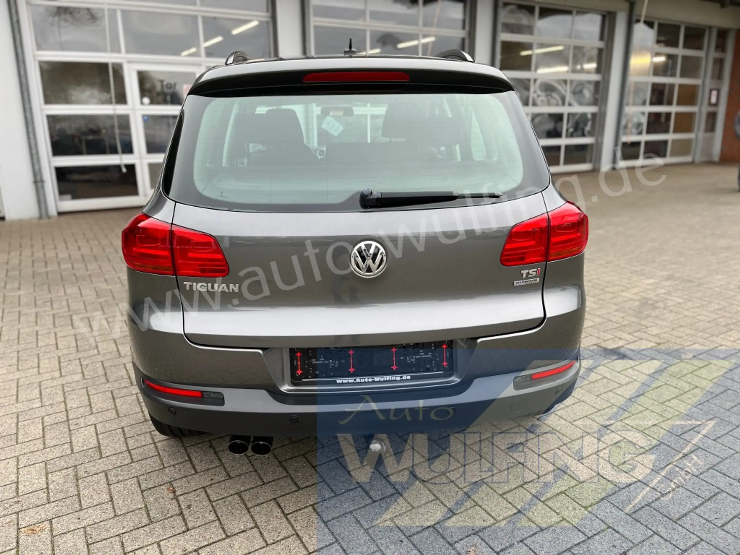 Volkswagen - Tiguan