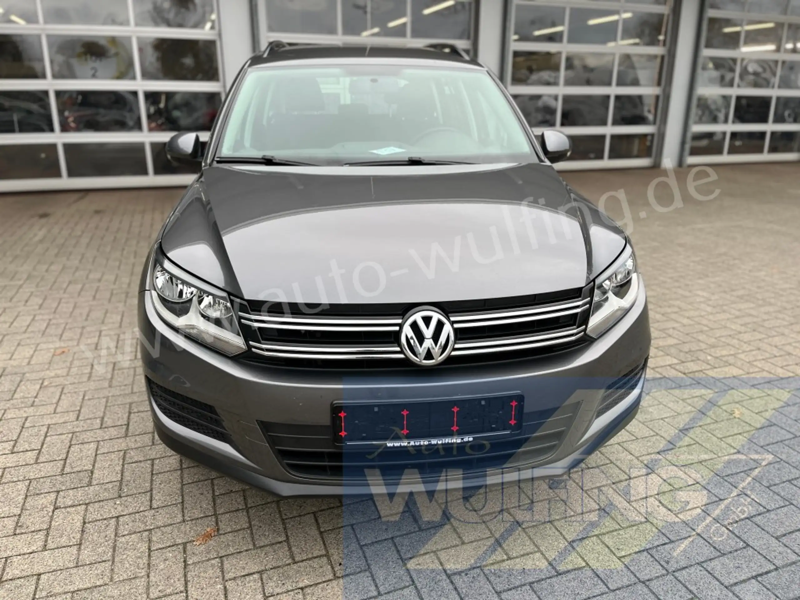 Volkswagen - Tiguan