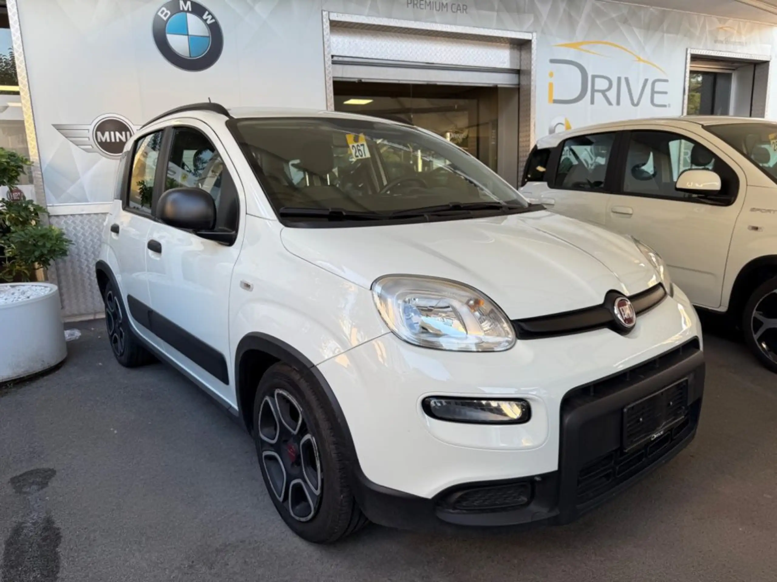 Fiat - Panda