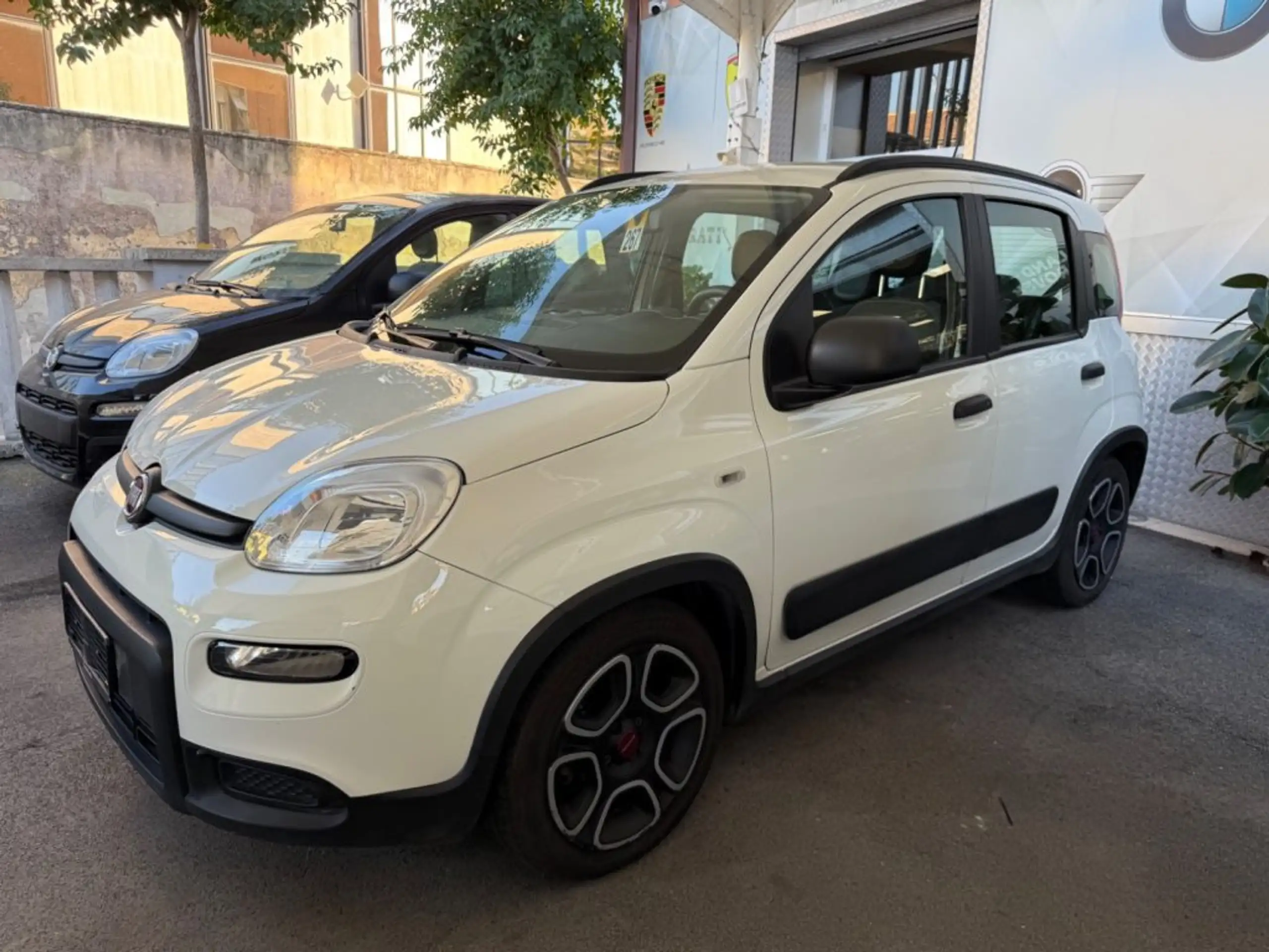 Fiat - Panda