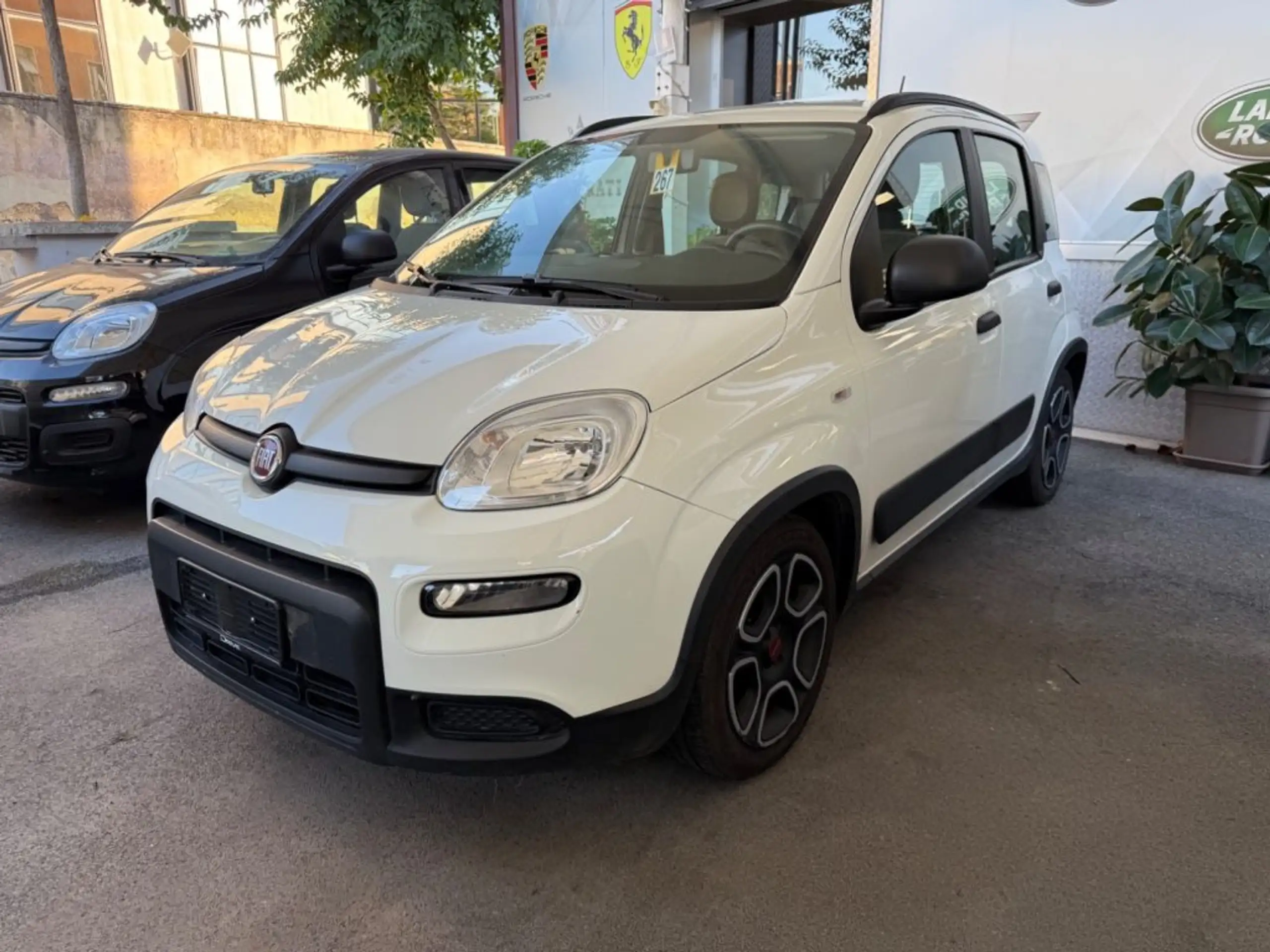 Fiat - Panda