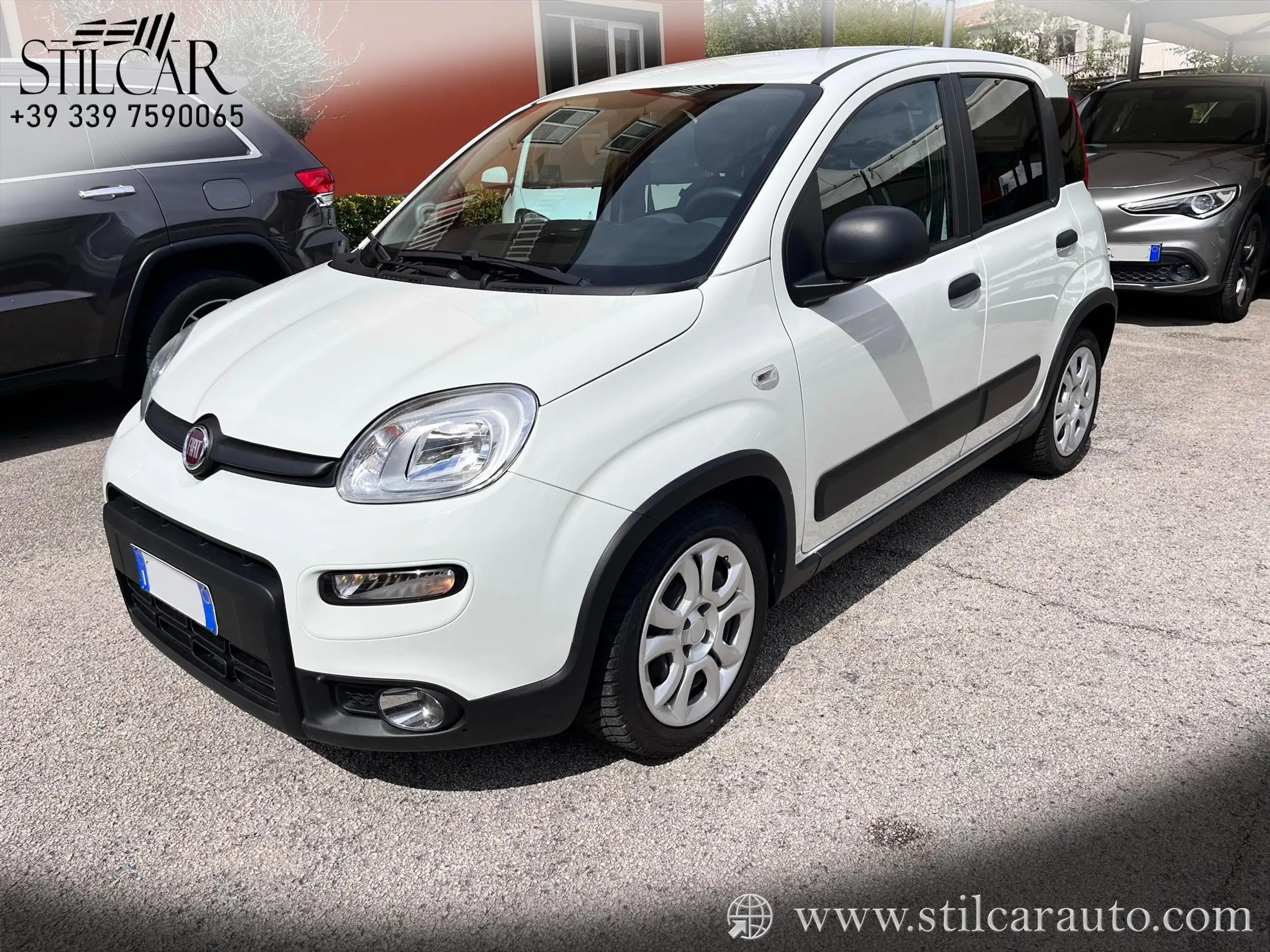 Fiat - Panda