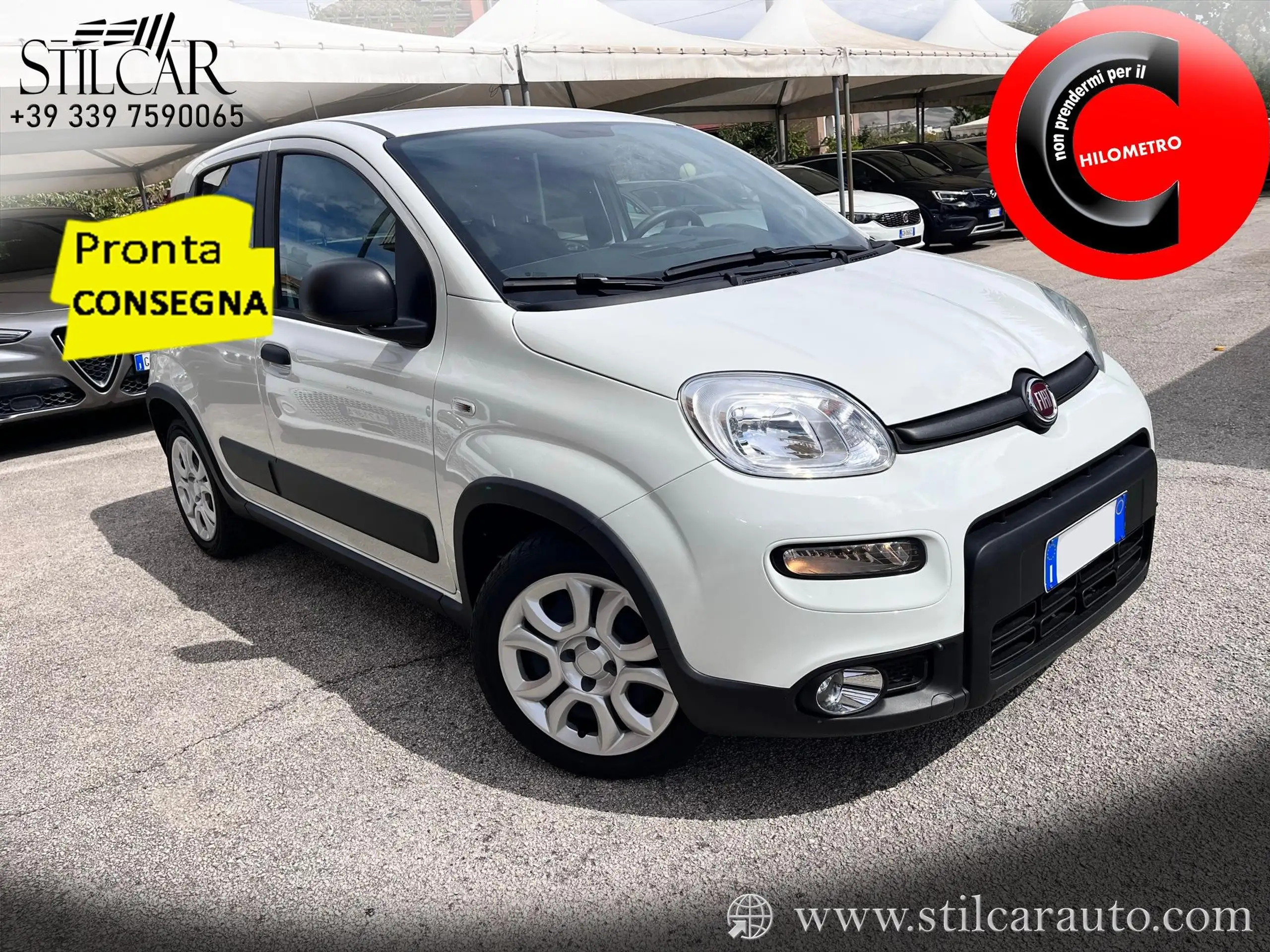 Fiat - Panda