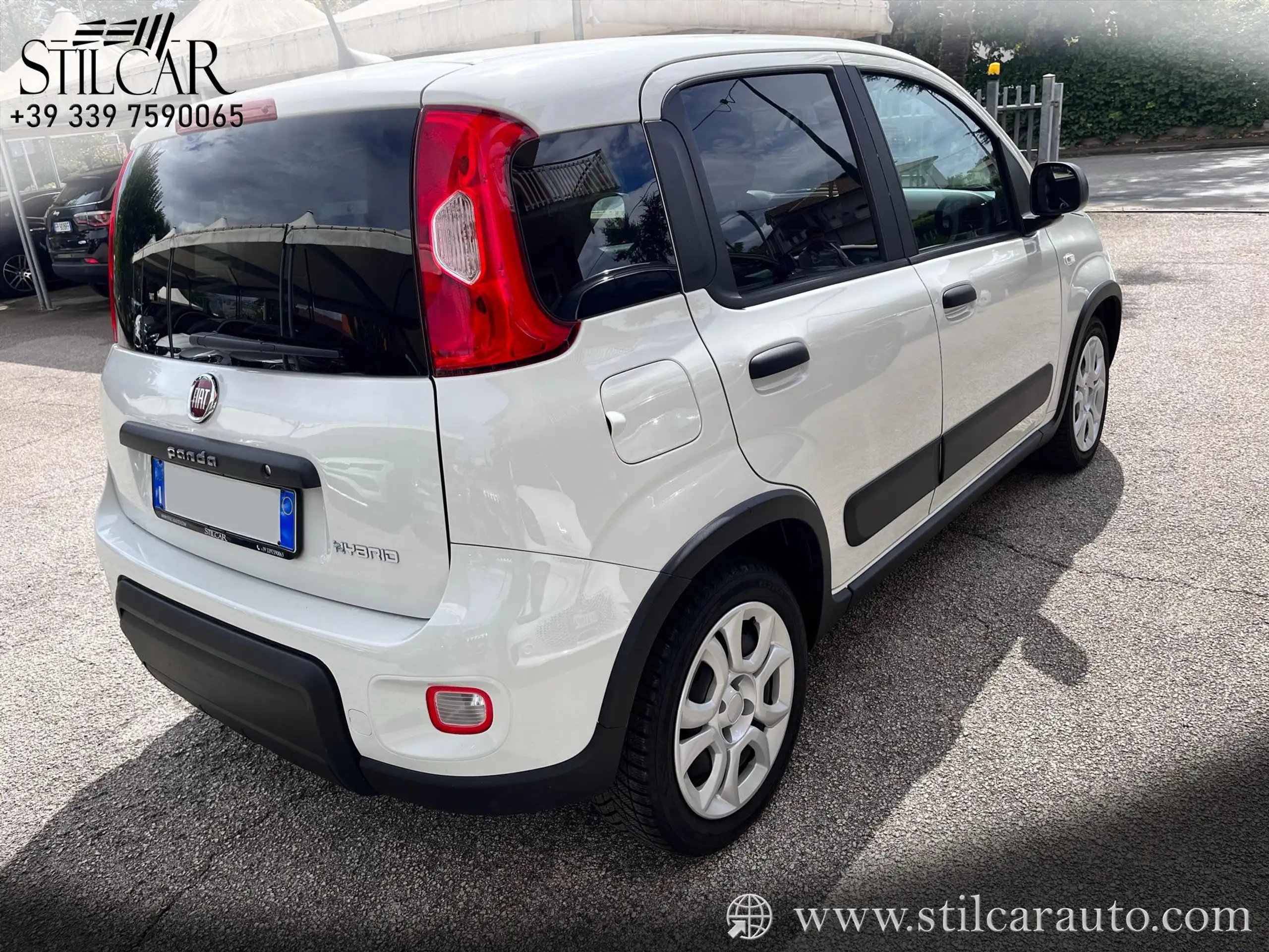 Fiat - Panda