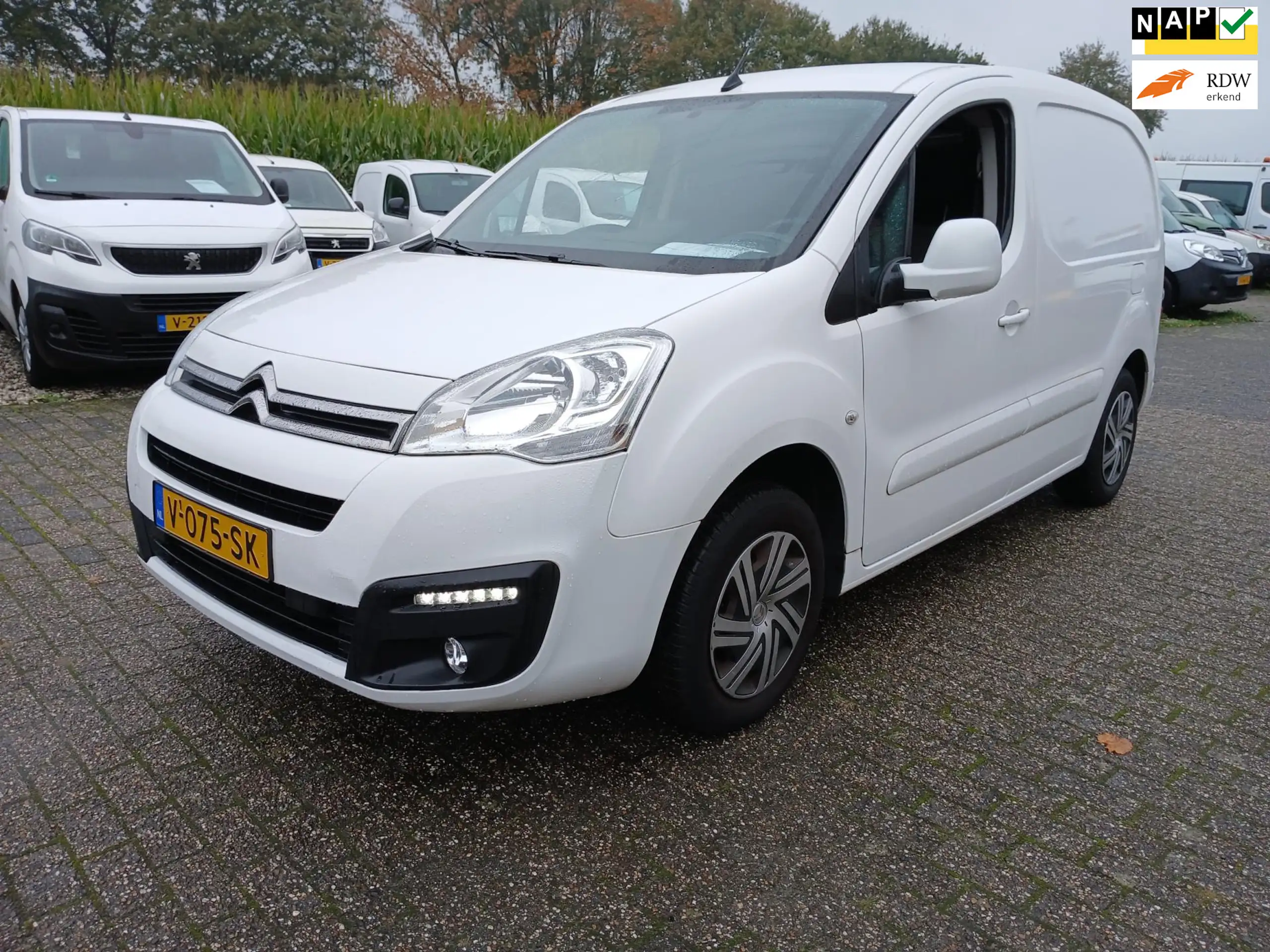 Citroen - Berlingo