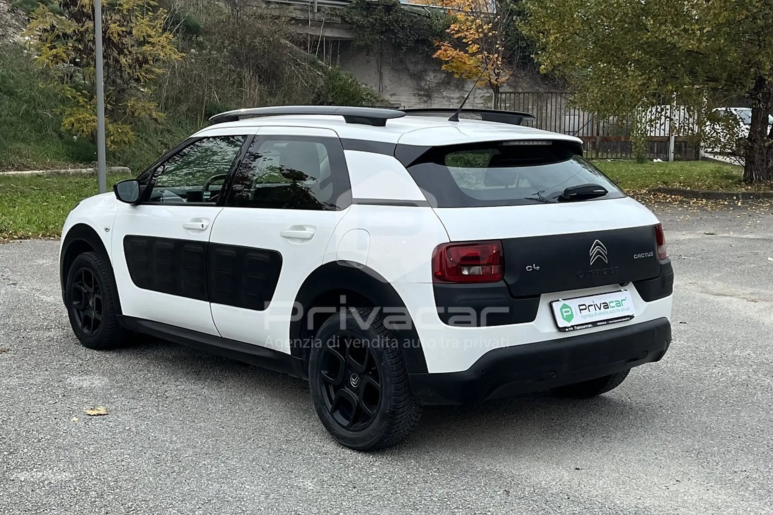 Citroen - C4 Cactus