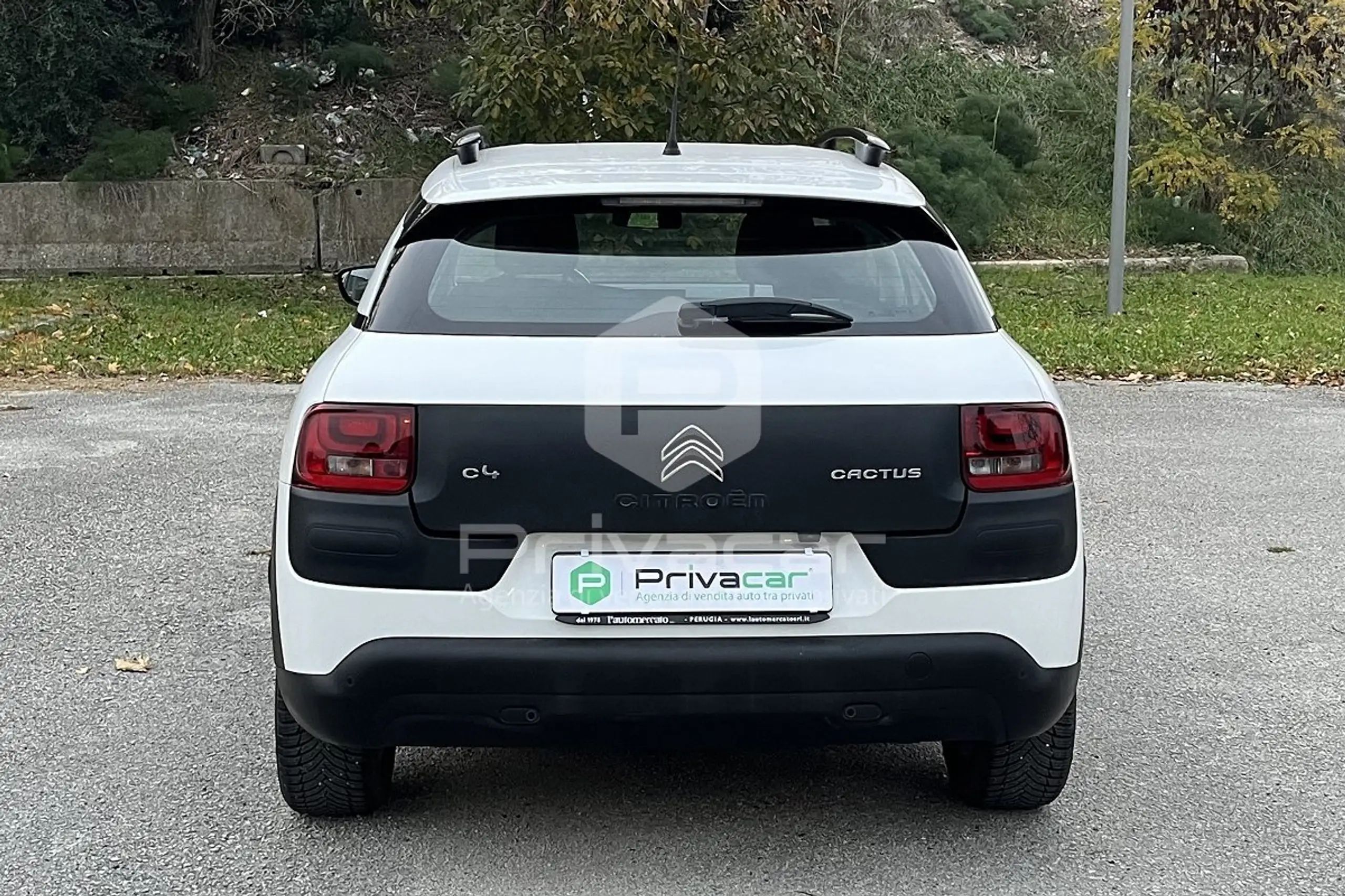 Citroen - C4 Cactus